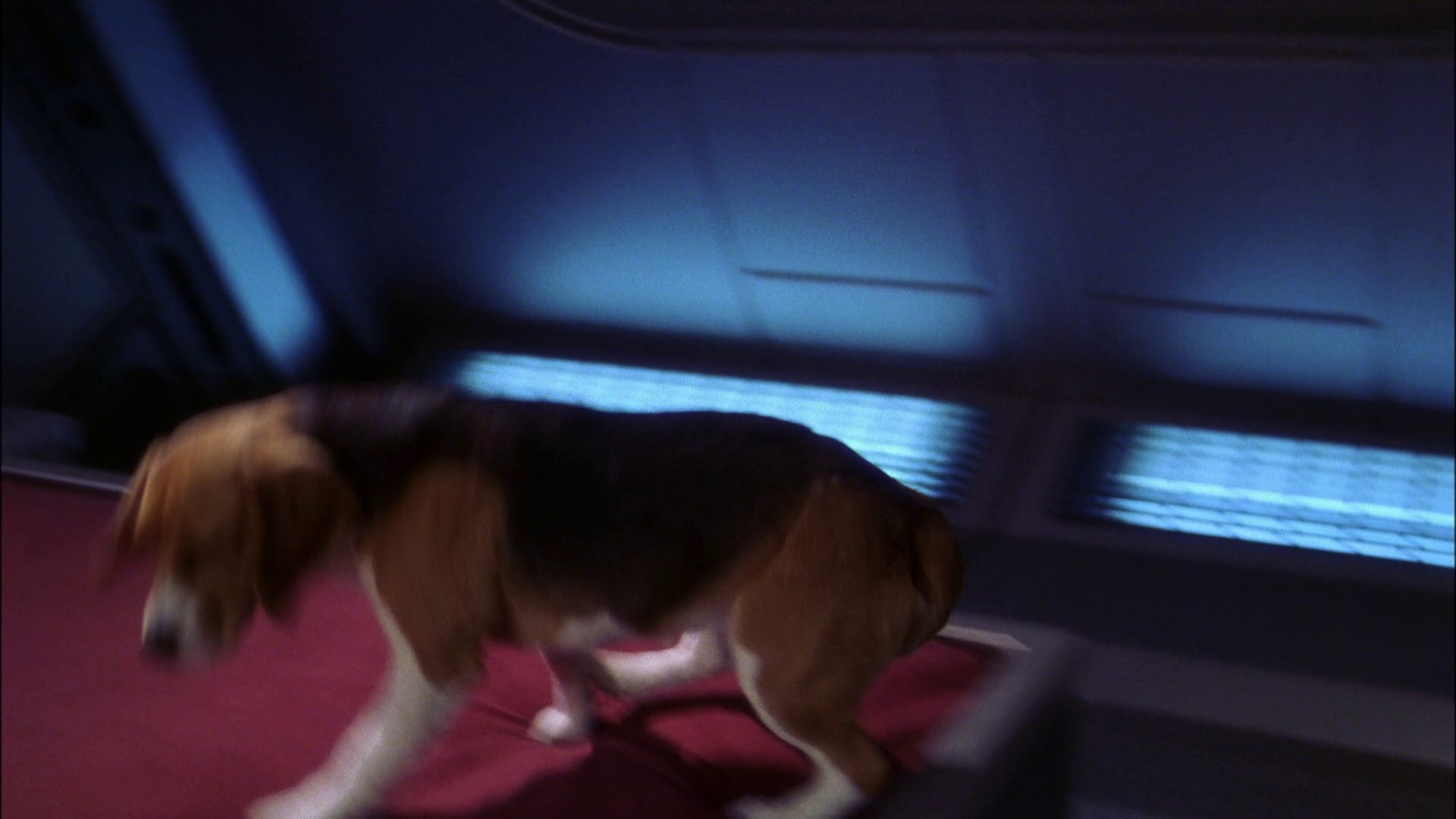 extant_StarTrek_ENT_1x22-VoxSola_0539.jpg