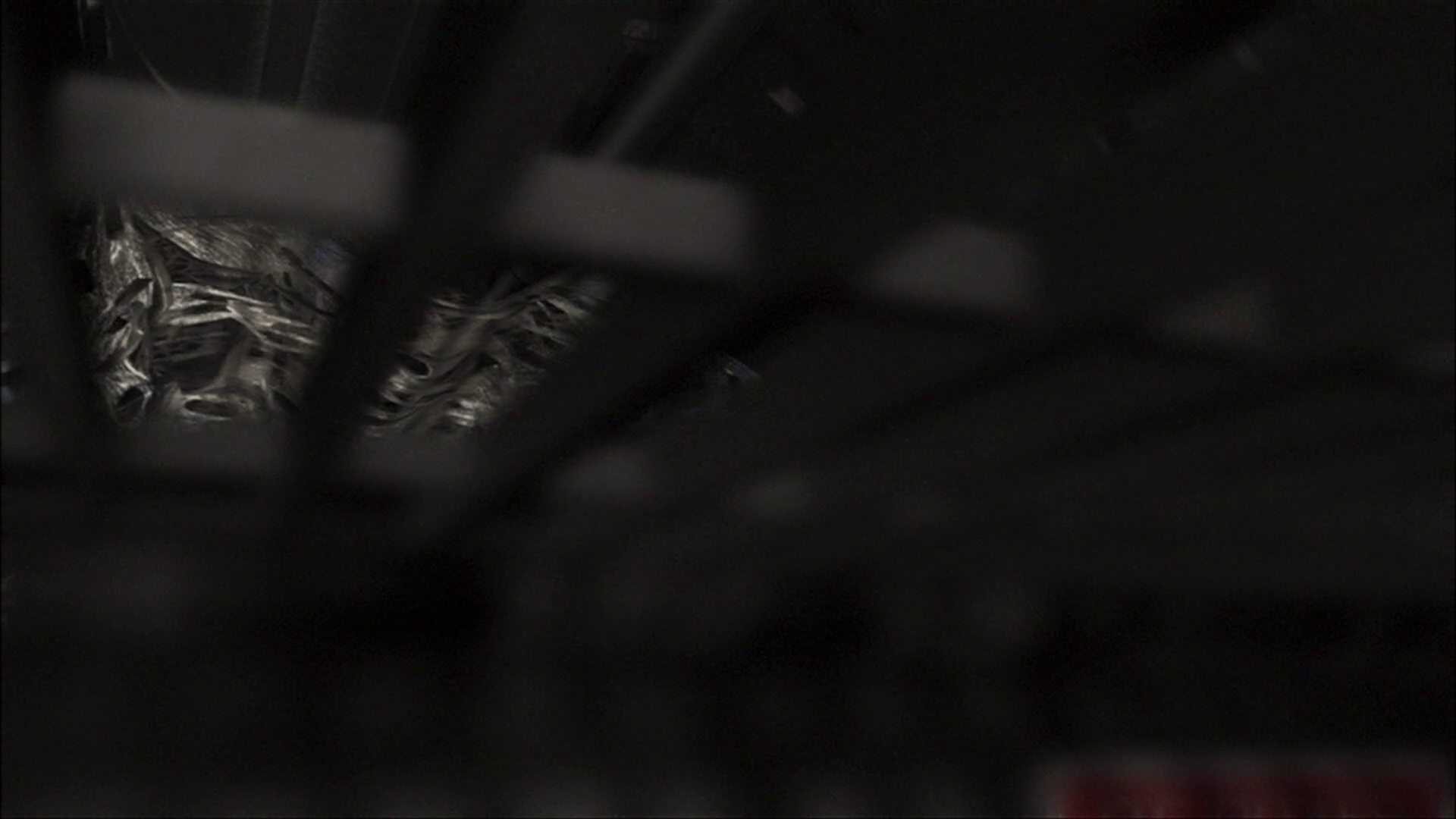 extant_StarTrek_ENT_1x22-VoxSola_0547.jpg