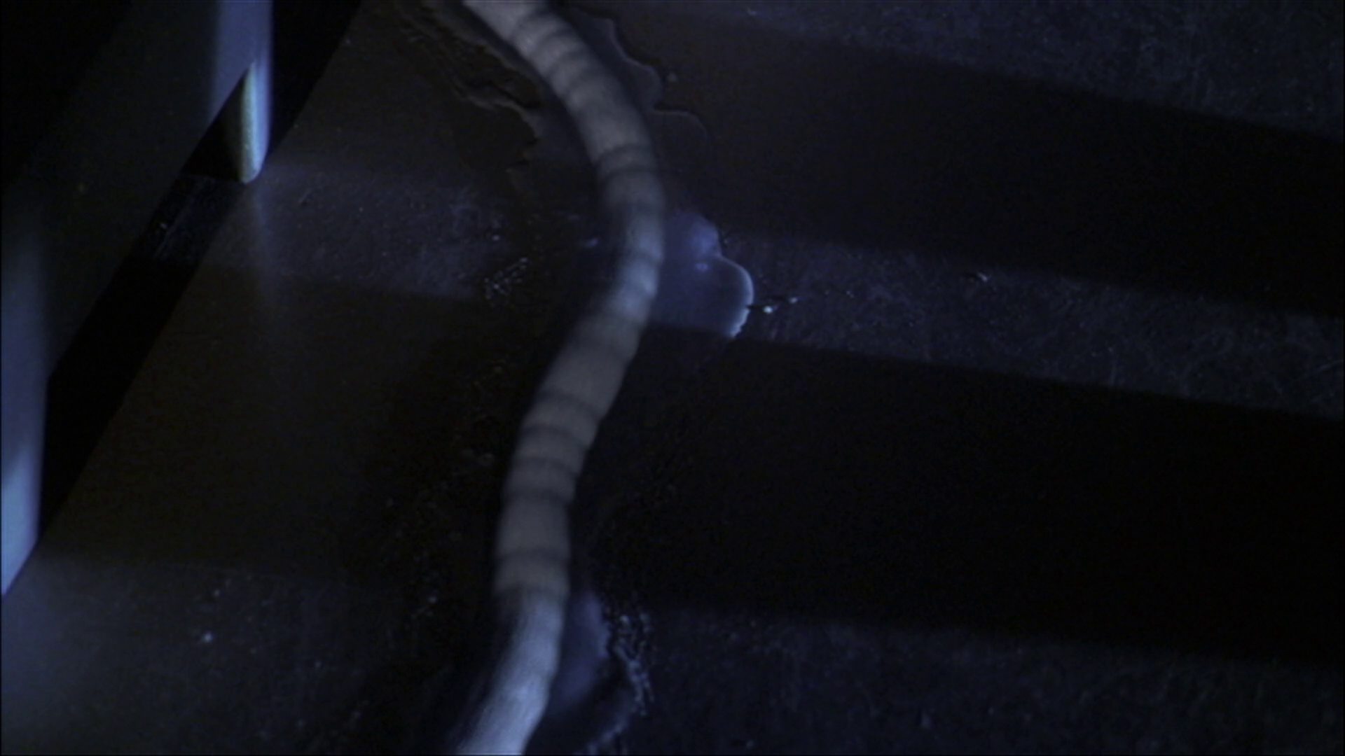 extant_StarTrek_ENT_1x22-VoxSola_0904.jpg