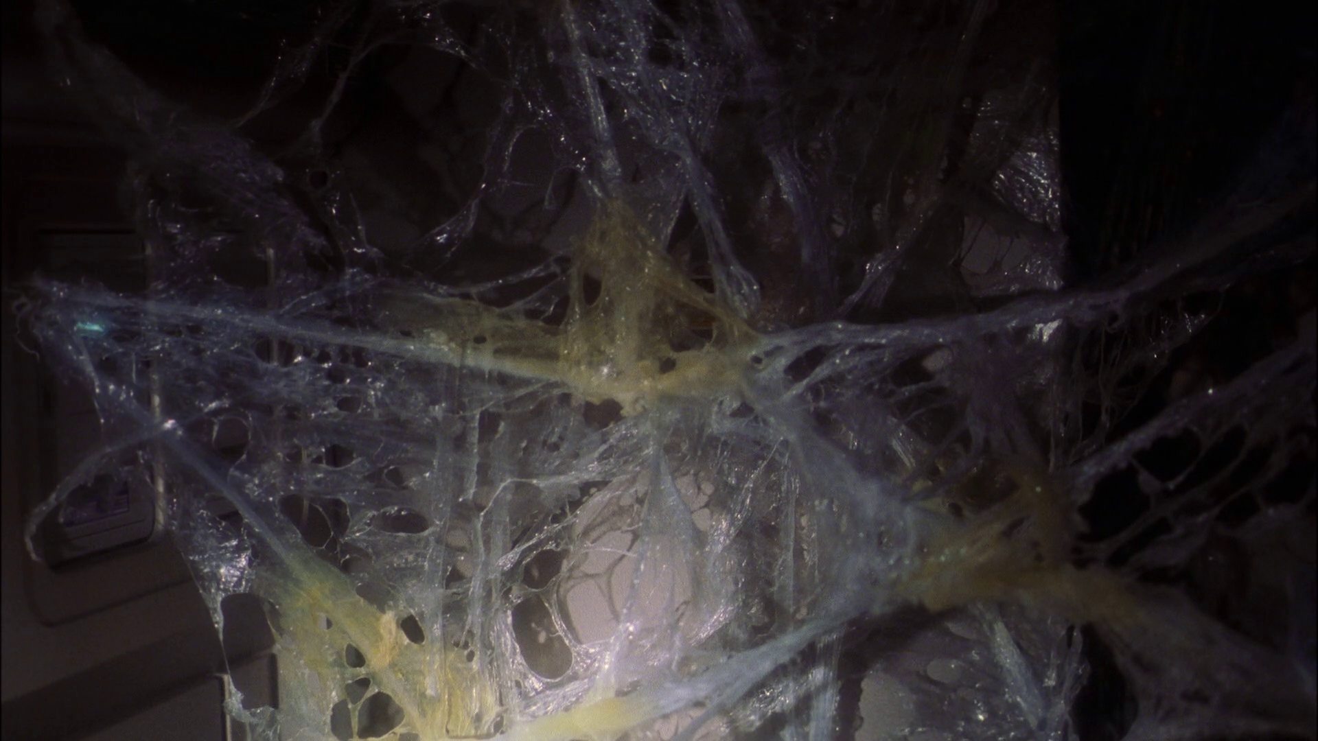 extant_StarTrek_ENT_1x22-VoxSola_0915.jpg