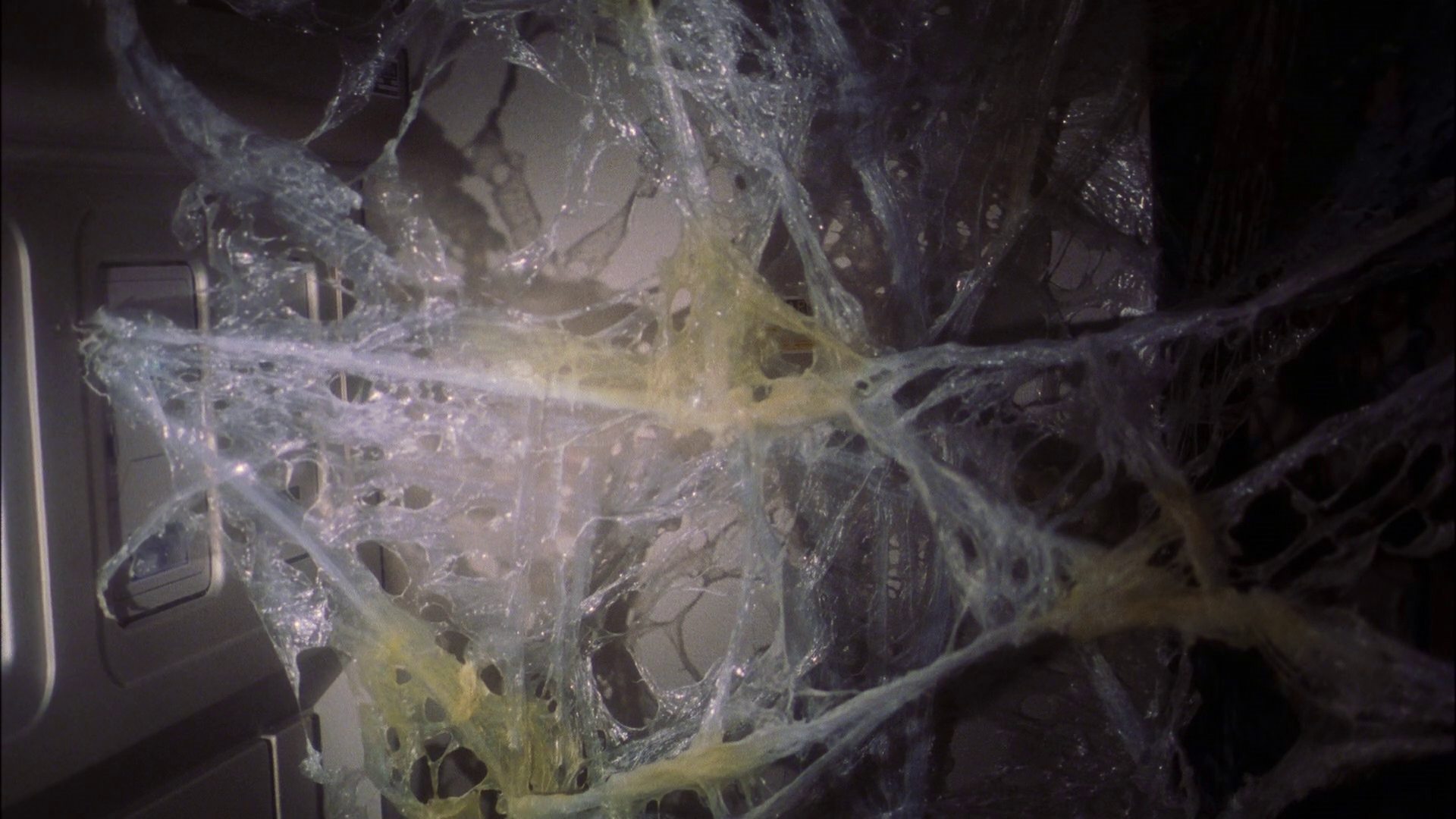 extant_StarTrek_ENT_1x22-VoxSola_0916.jpg