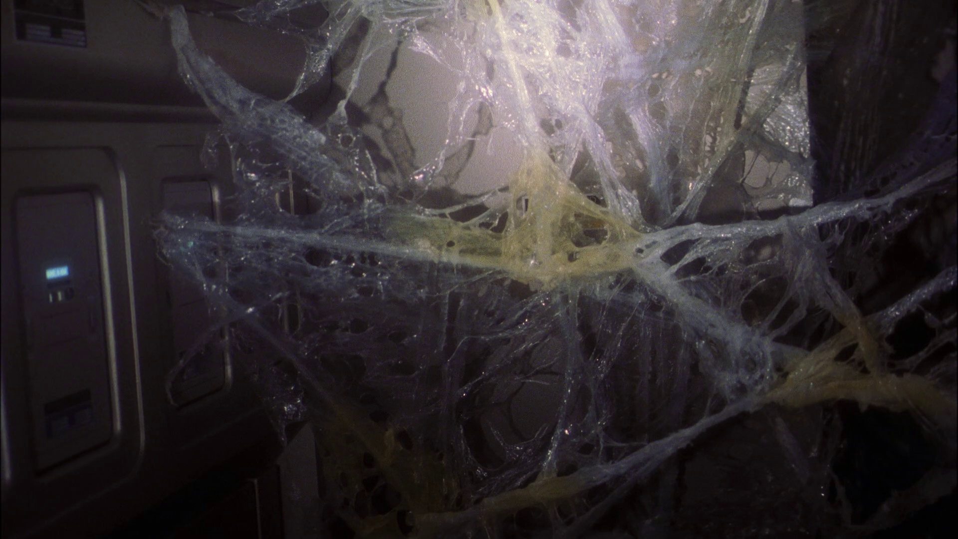 extant_StarTrek_ENT_1x22-VoxSola_0918.jpg