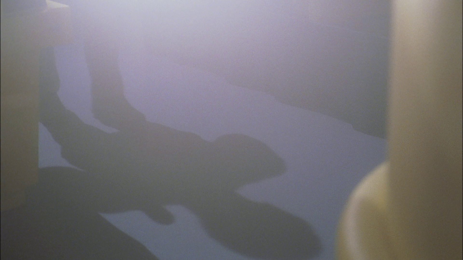 extant_StarTrek_ENT_1x22-VoxSola_1154.jpg