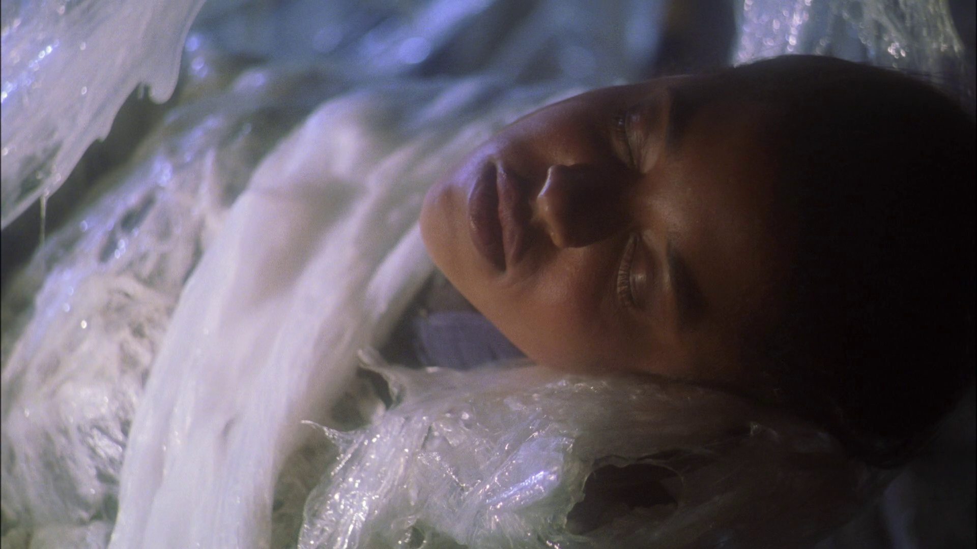 extant_StarTrek_ENT_1x22-VoxSola_1205.jpg