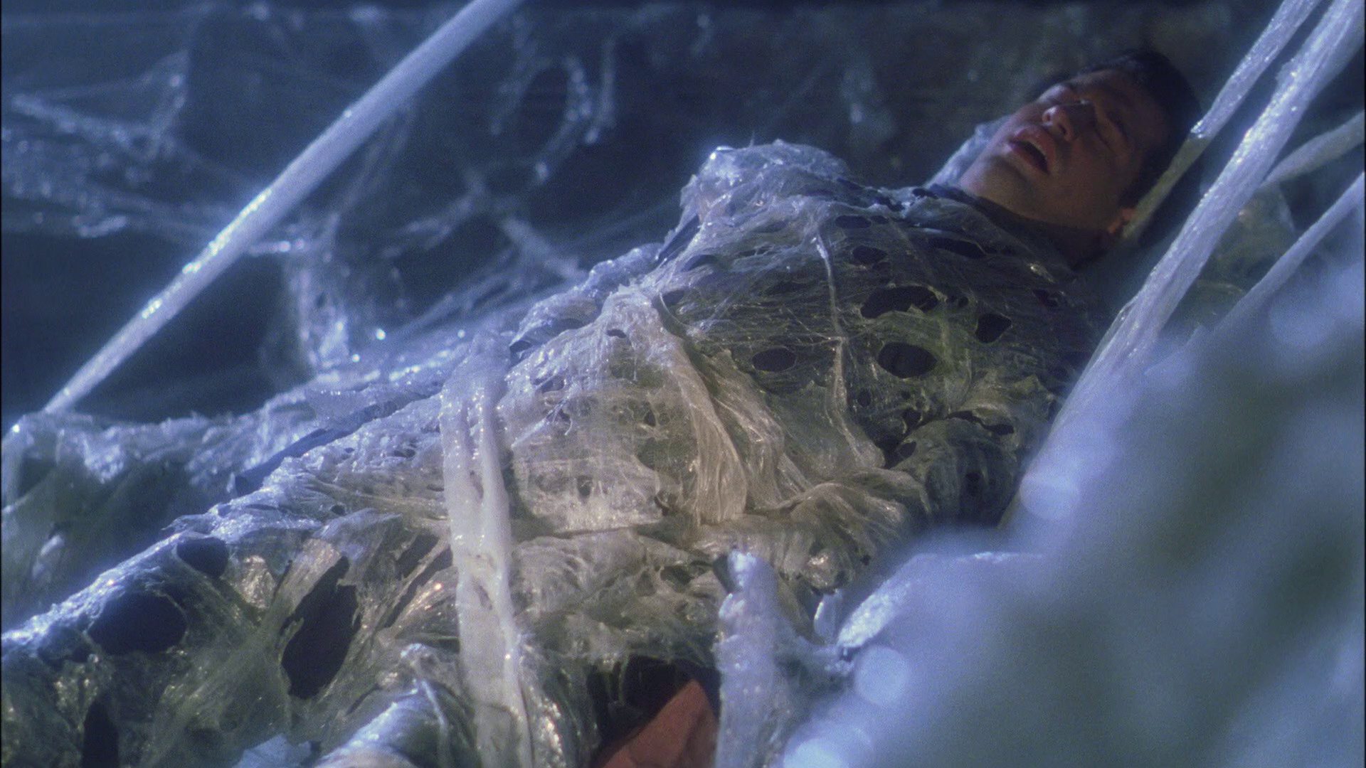 extant_StarTrek_ENT_1x22-VoxSola_1244.jpg
