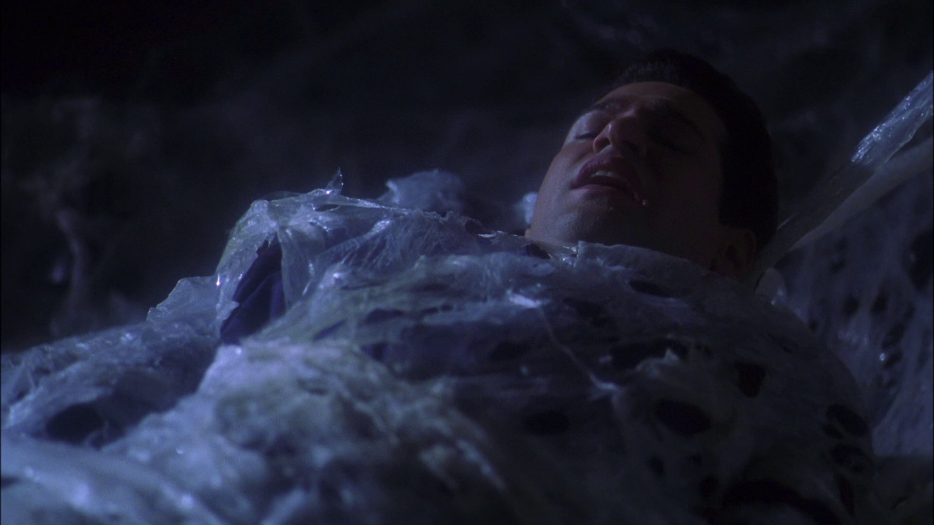 extant_StarTrek_ENT_1x22-VoxSola_1250.jpg