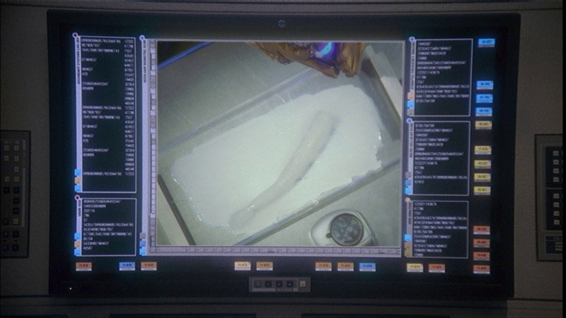 extant_StarTrek_ENT_1x22-VoxSola_1479.jpg