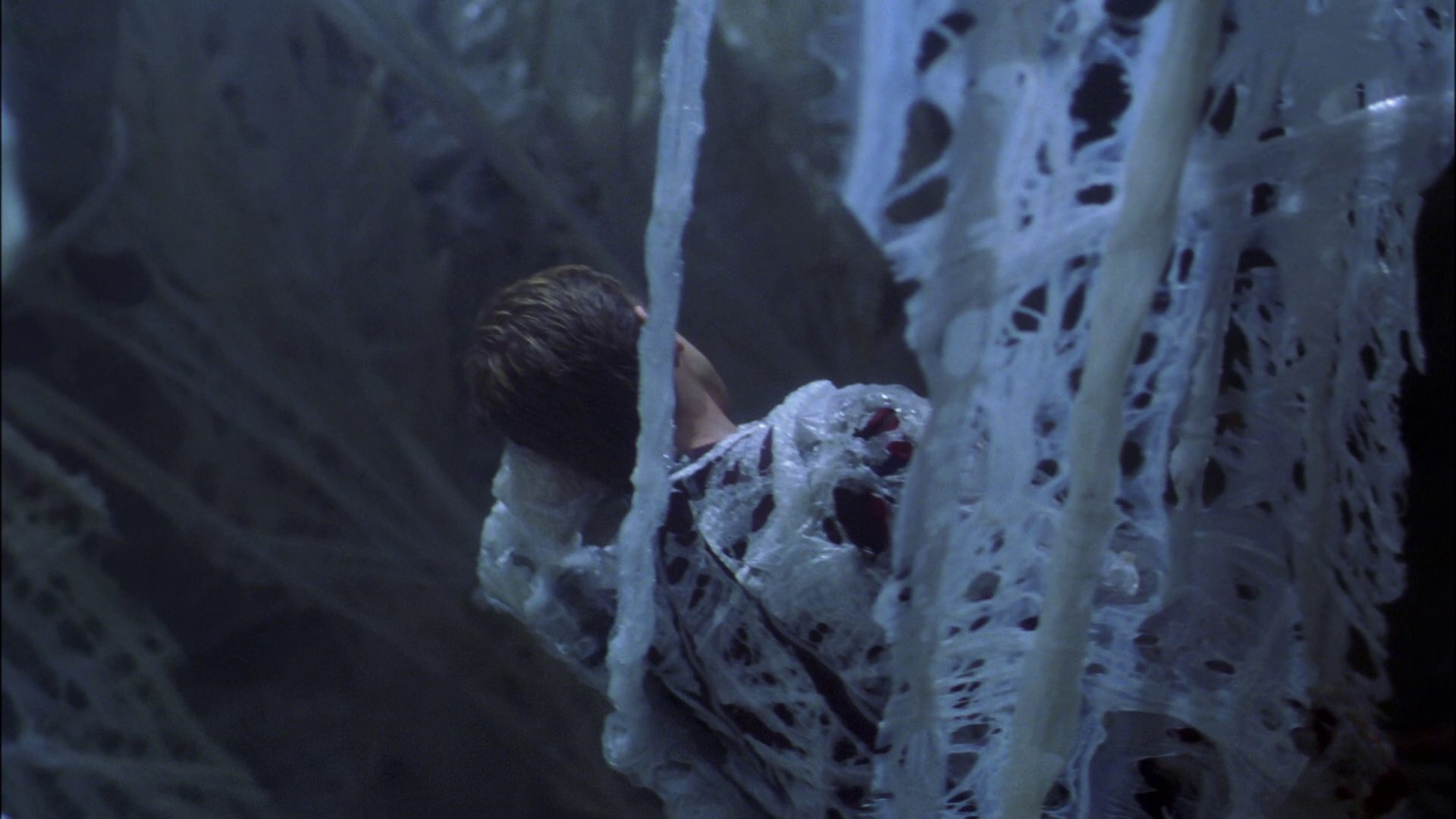 extant_StarTrek_ENT_1x22-VoxSola_1597.jpg