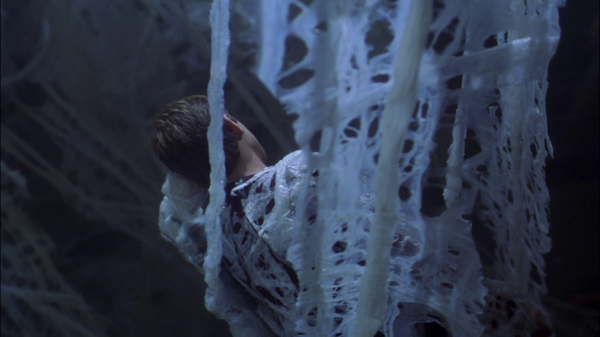 extant_StarTrek_ENT_1x22-VoxSola_1598.jpg