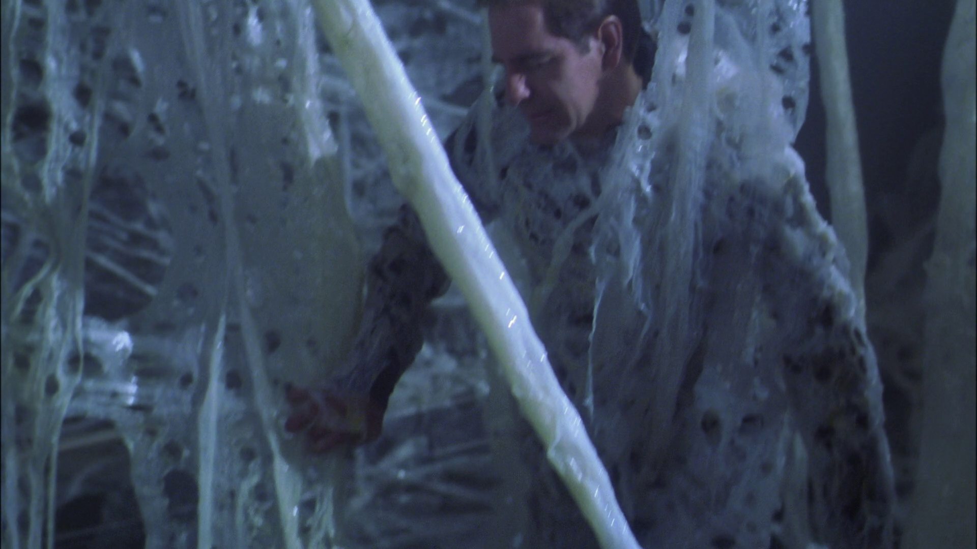 extant_StarTrek_ENT_1x22-VoxSola_1609.jpg