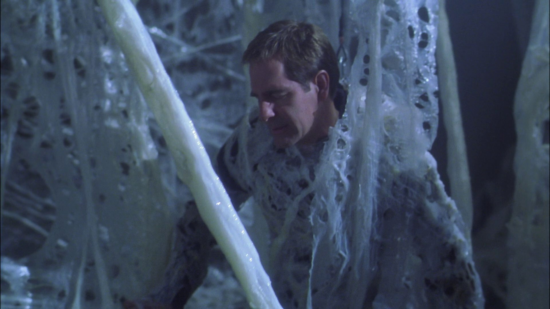 extant_StarTrek_ENT_1x22-VoxSola_1610.jpg