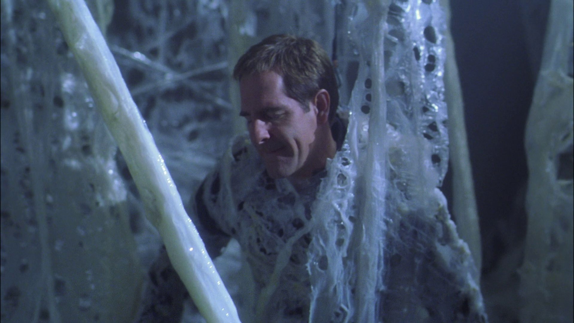 extant_StarTrek_ENT_1x22-VoxSola_1611.jpg