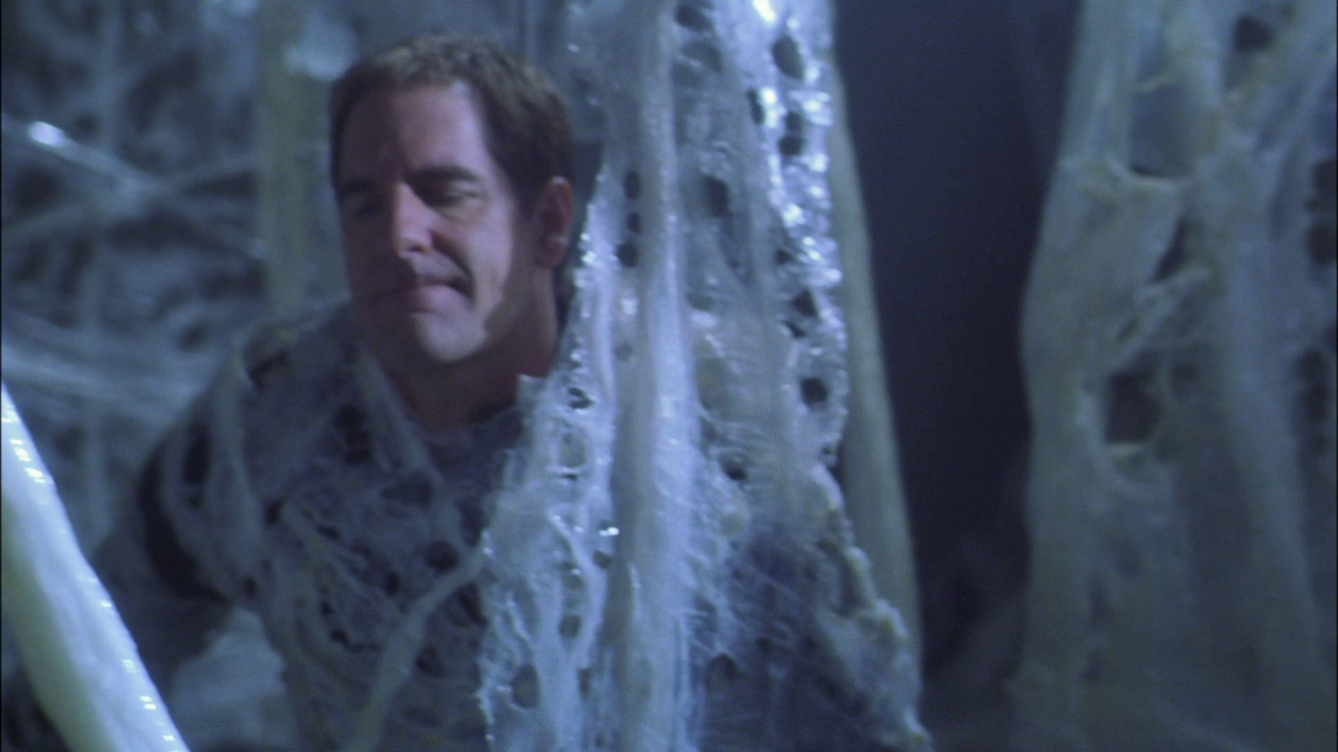 extant_StarTrek_ENT_1x22-VoxSola_1613.jpg