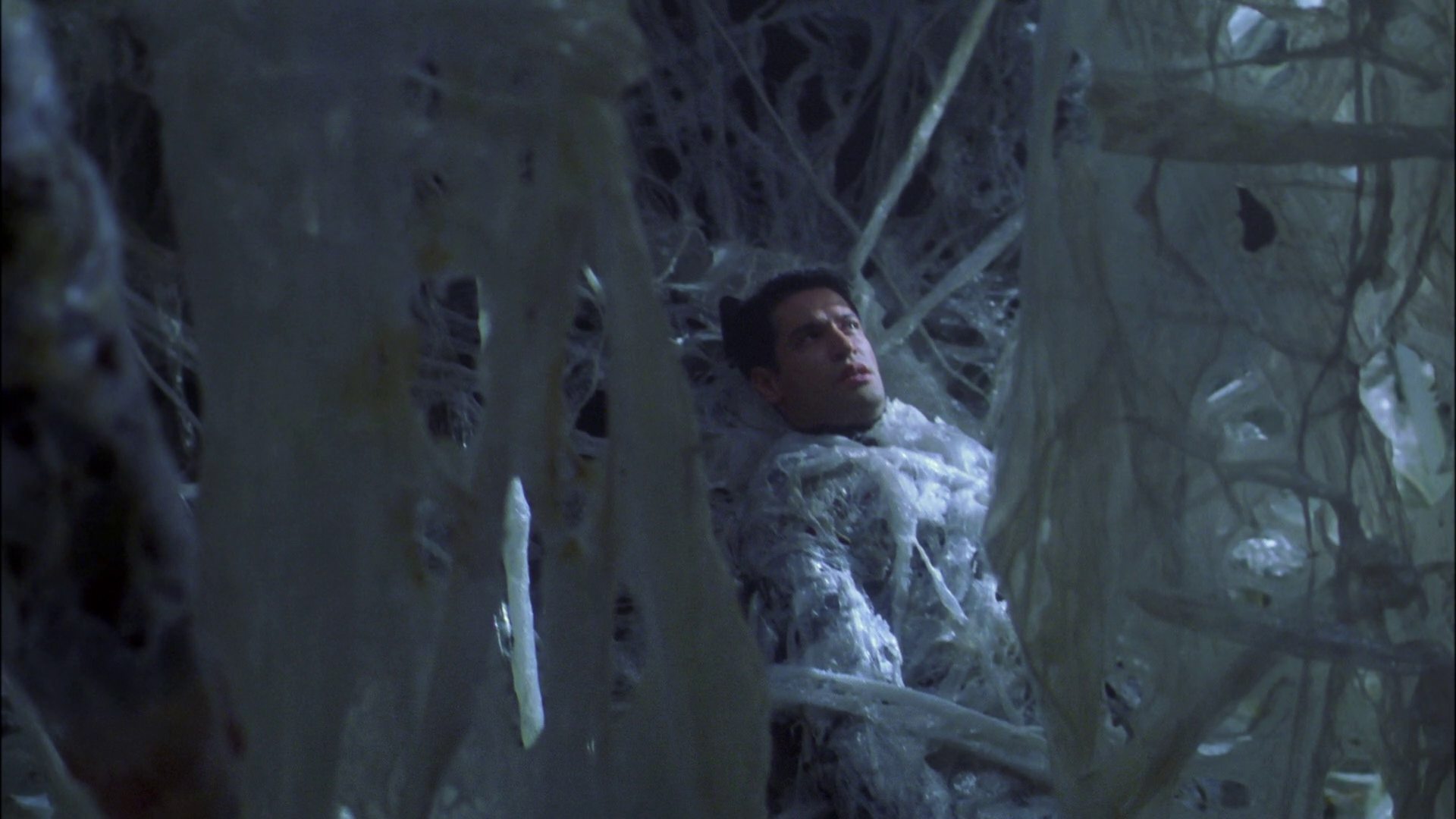 extant_StarTrek_ENT_1x22-VoxSola_1618.jpg