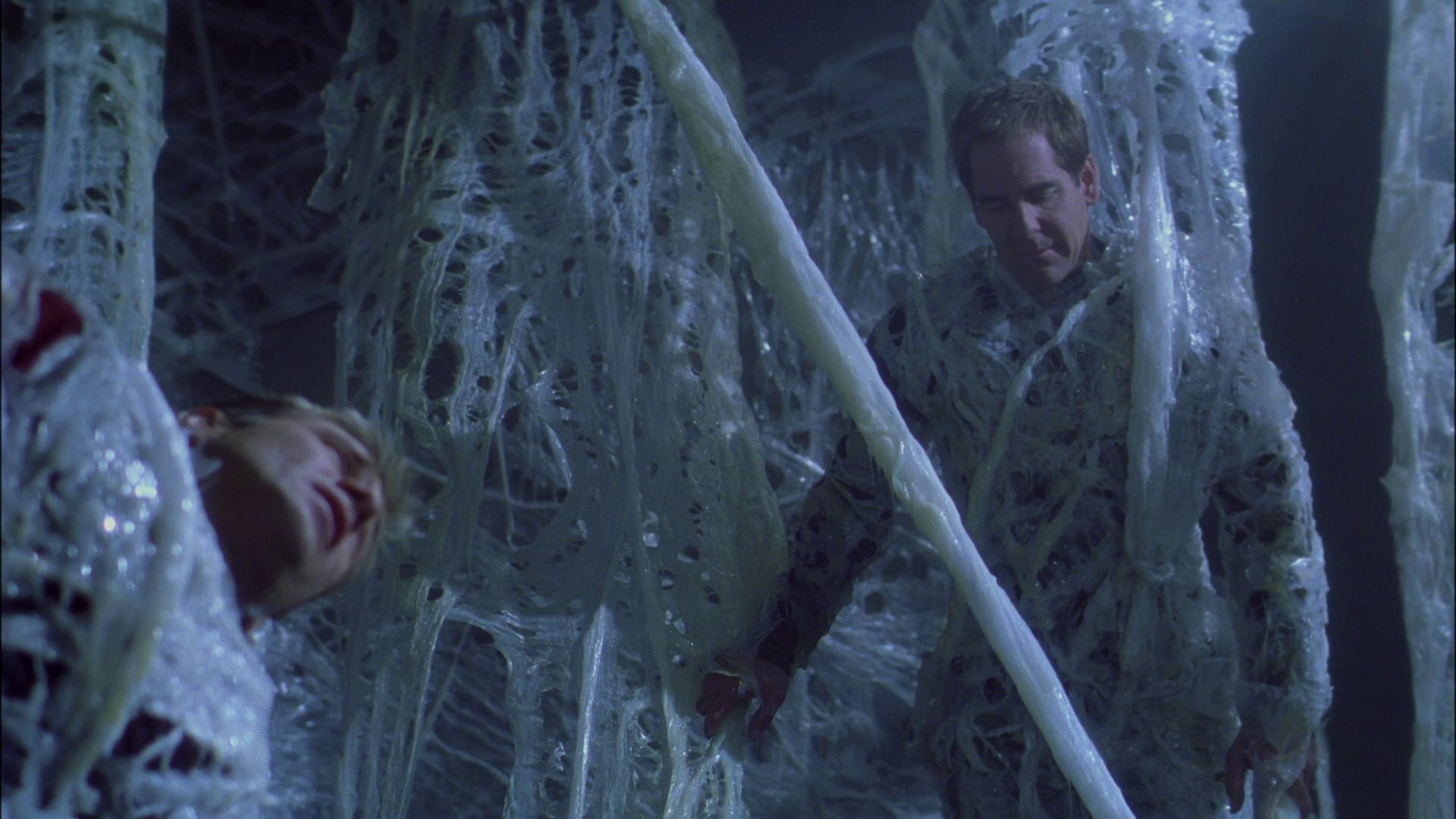 extant_StarTrek_ENT_1x22-VoxSola_1626.jpg