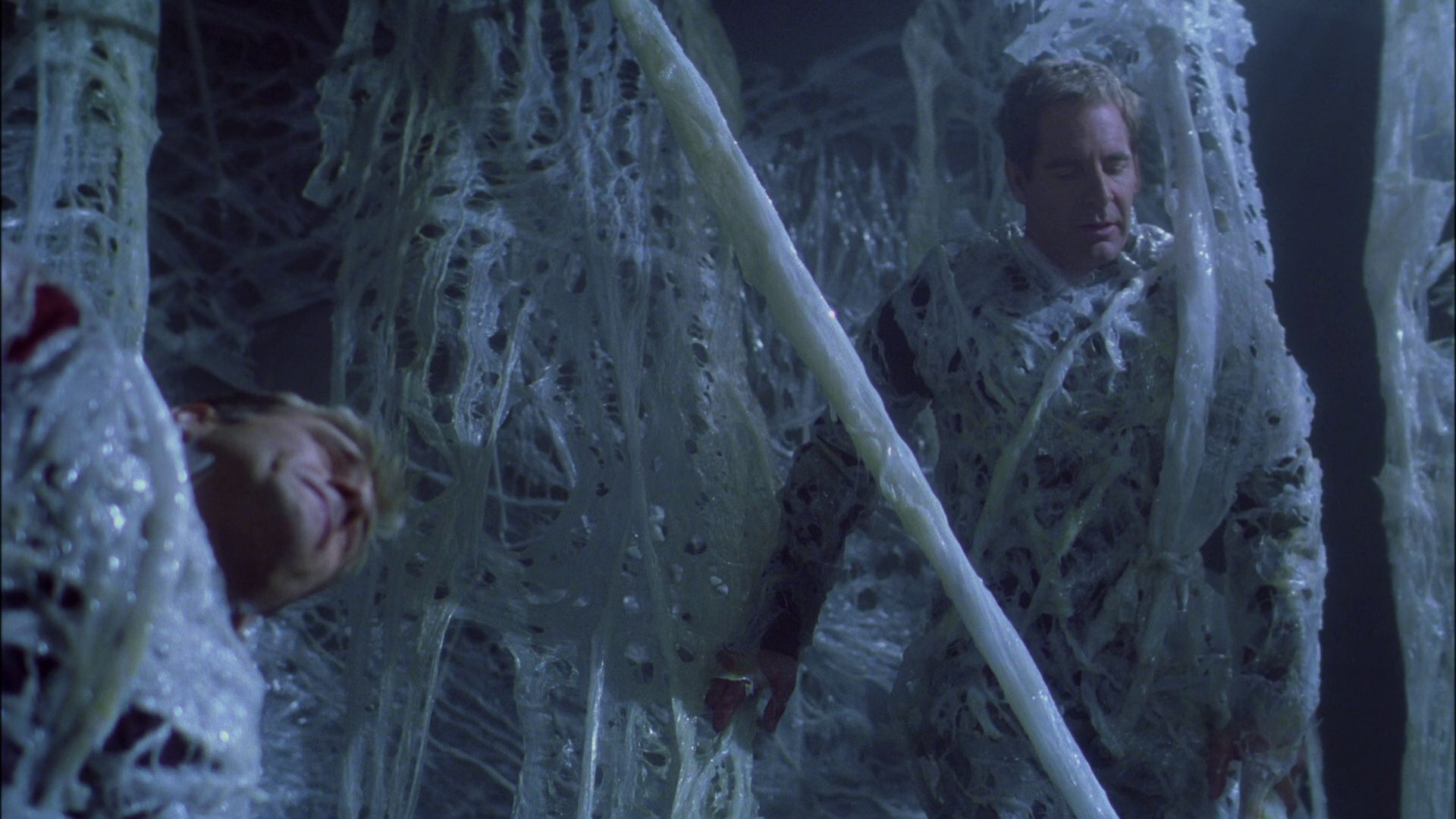 extant_StarTrek_ENT_1x22-VoxSola_1628.jpg