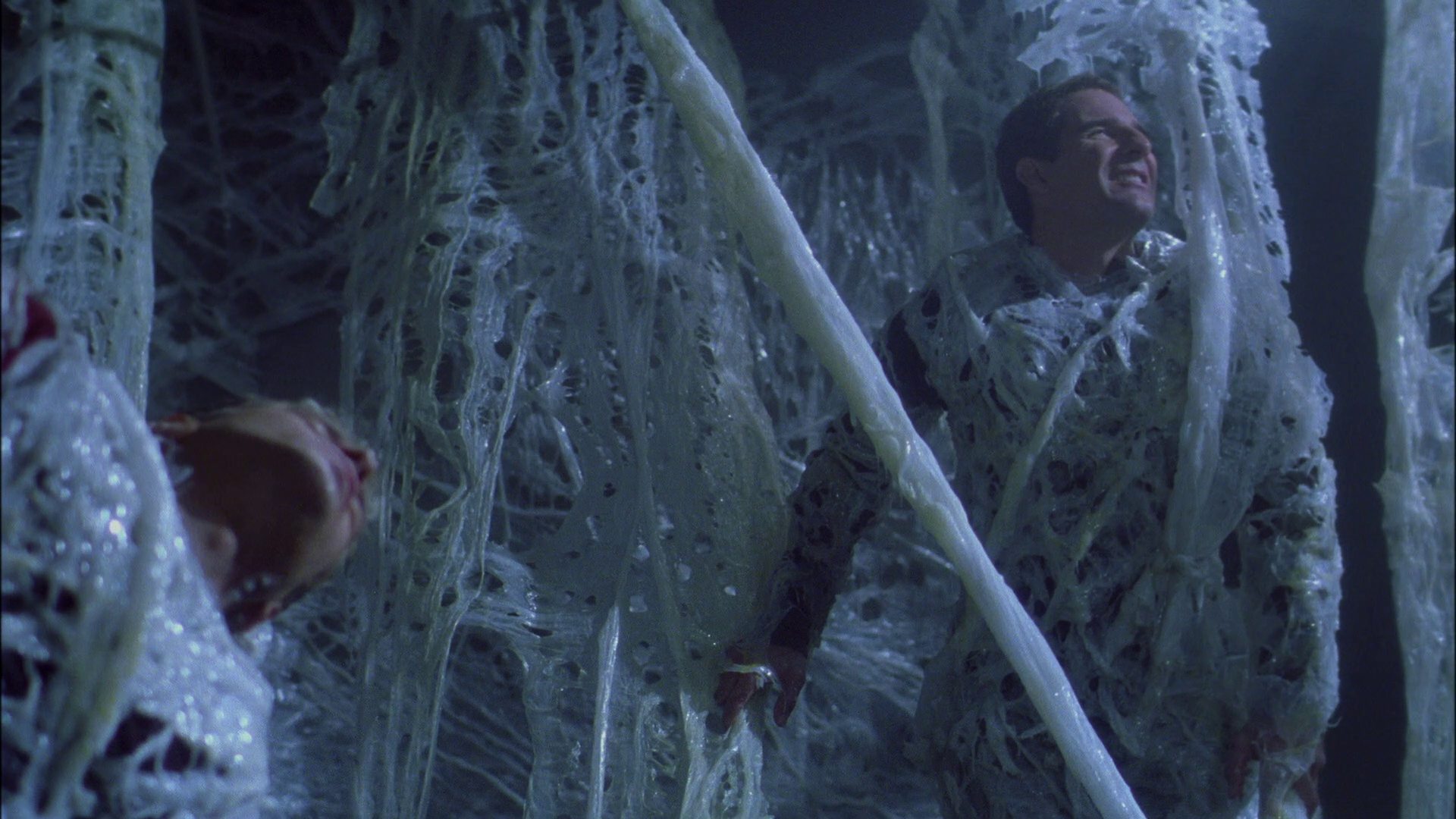 extant_StarTrek_ENT_1x22-VoxSola_1633.jpg