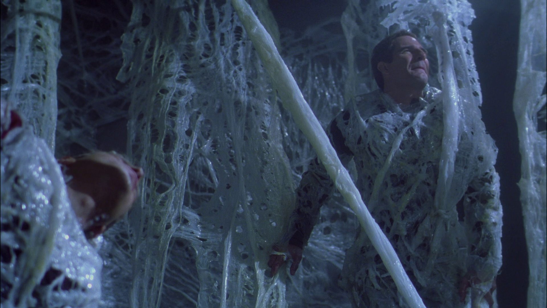 extant_StarTrek_ENT_1x22-VoxSola_1634.jpg