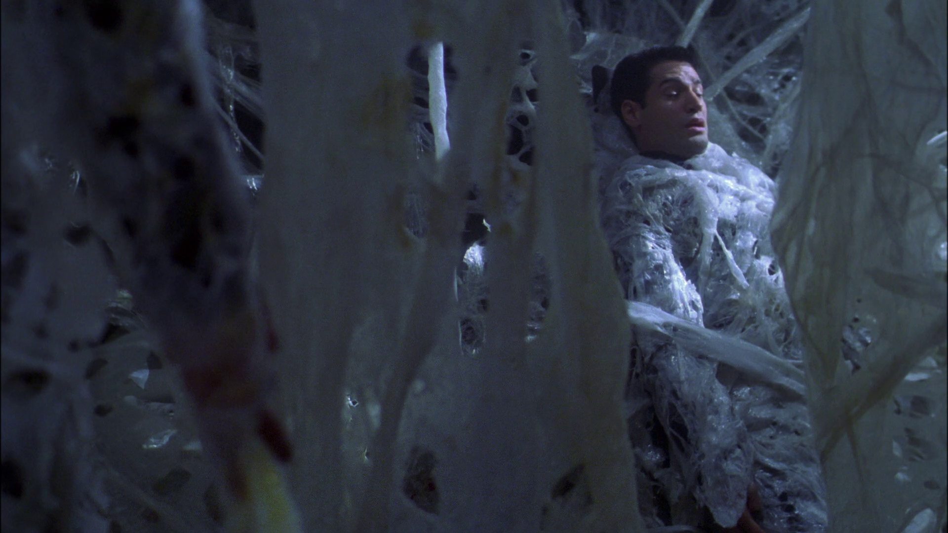 extant_StarTrek_ENT_1x22-VoxSola_1644.jpg
