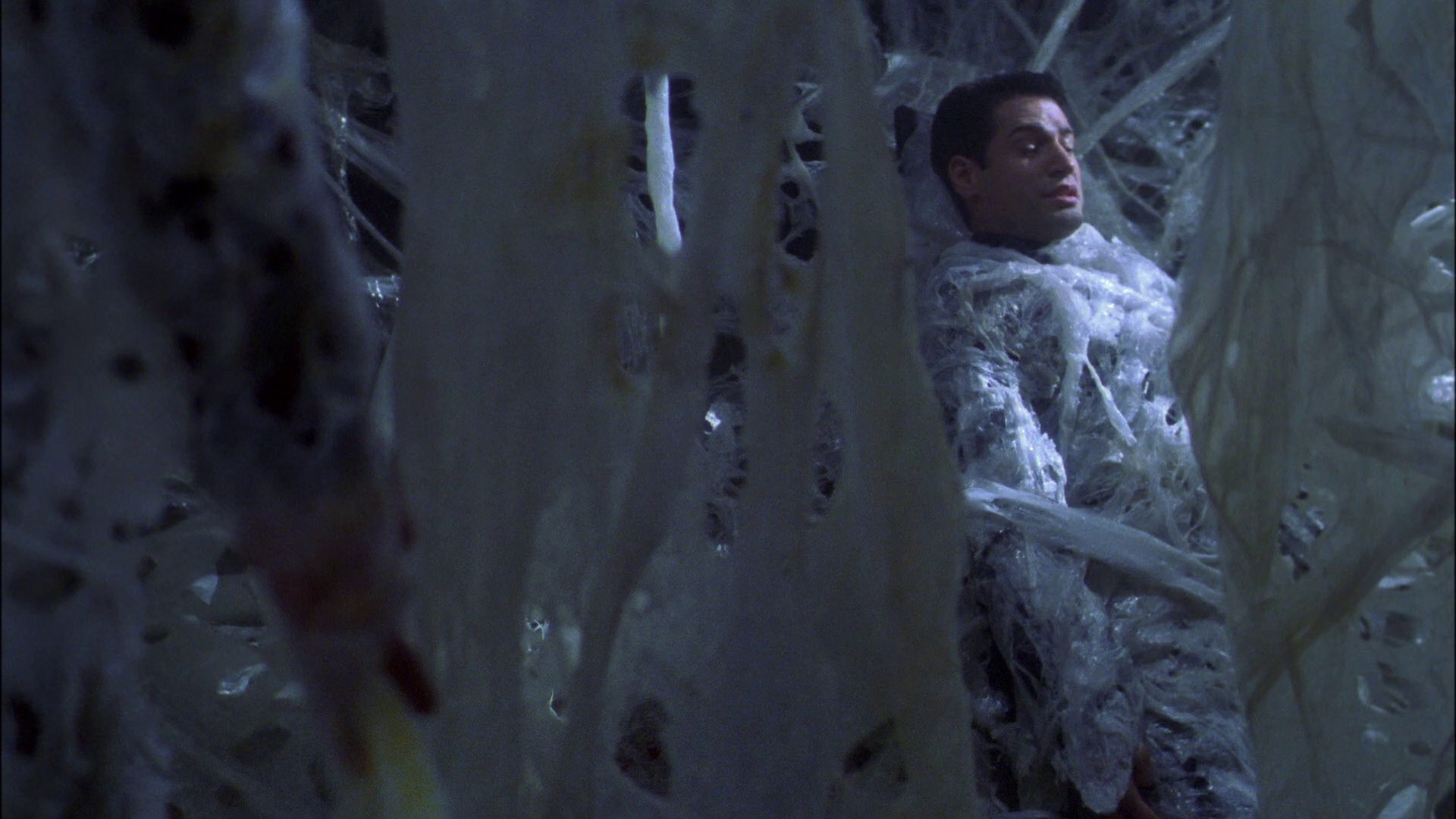 extant_StarTrek_ENT_1x22-VoxSola_1646.jpg