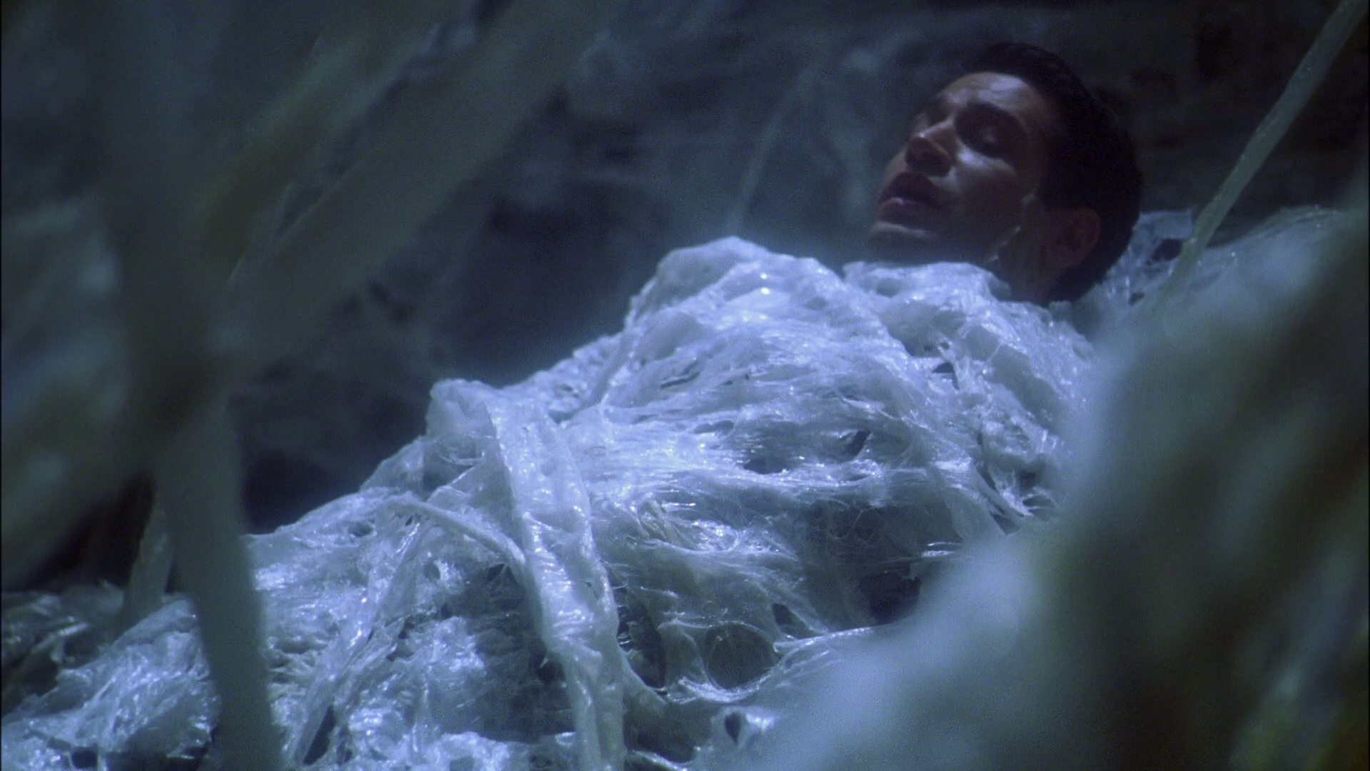 extant_StarTrek_ENT_1x22-VoxSola_1652.jpg