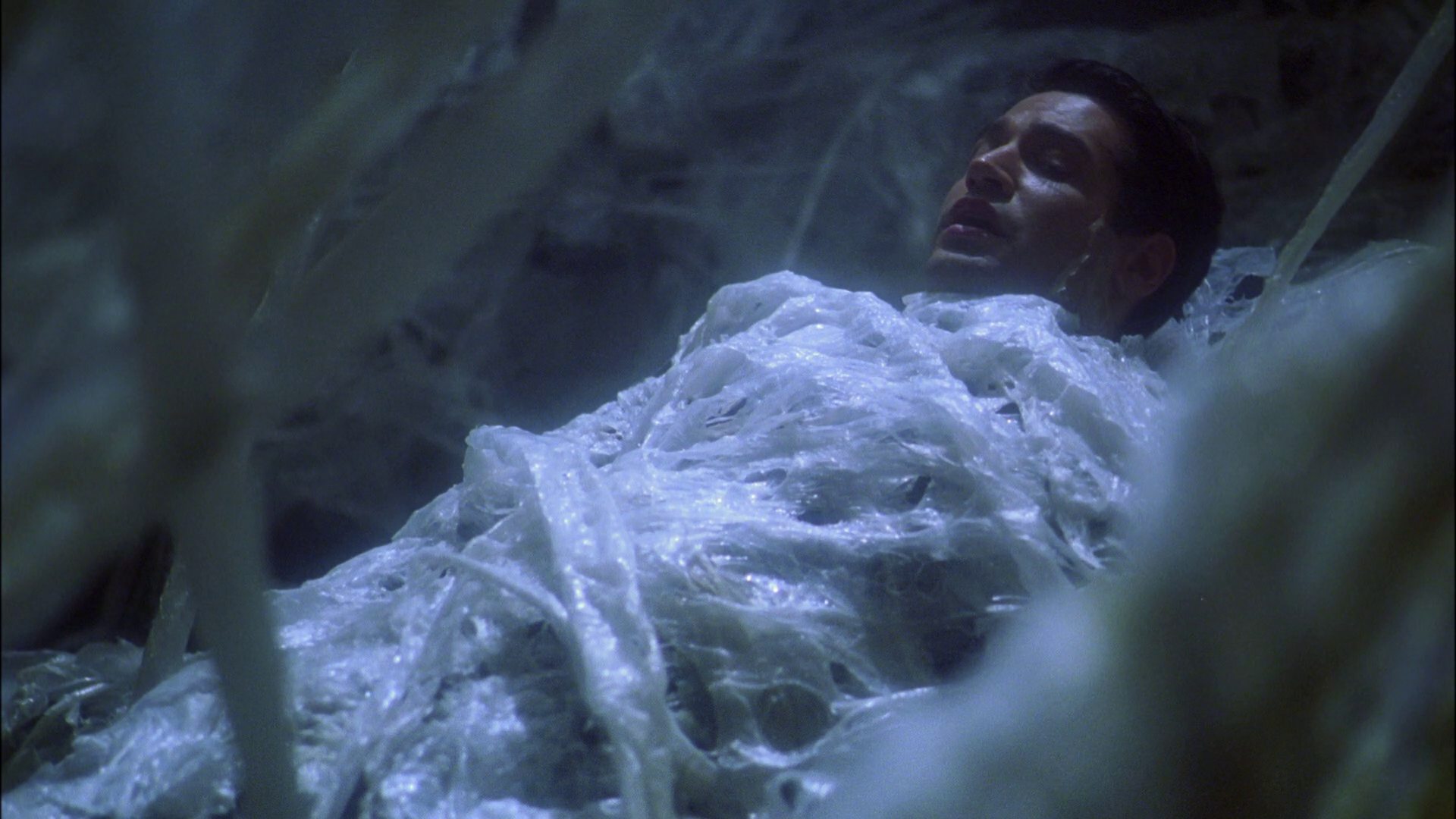 extant_StarTrek_ENT_1x22-VoxSola_1653.jpg