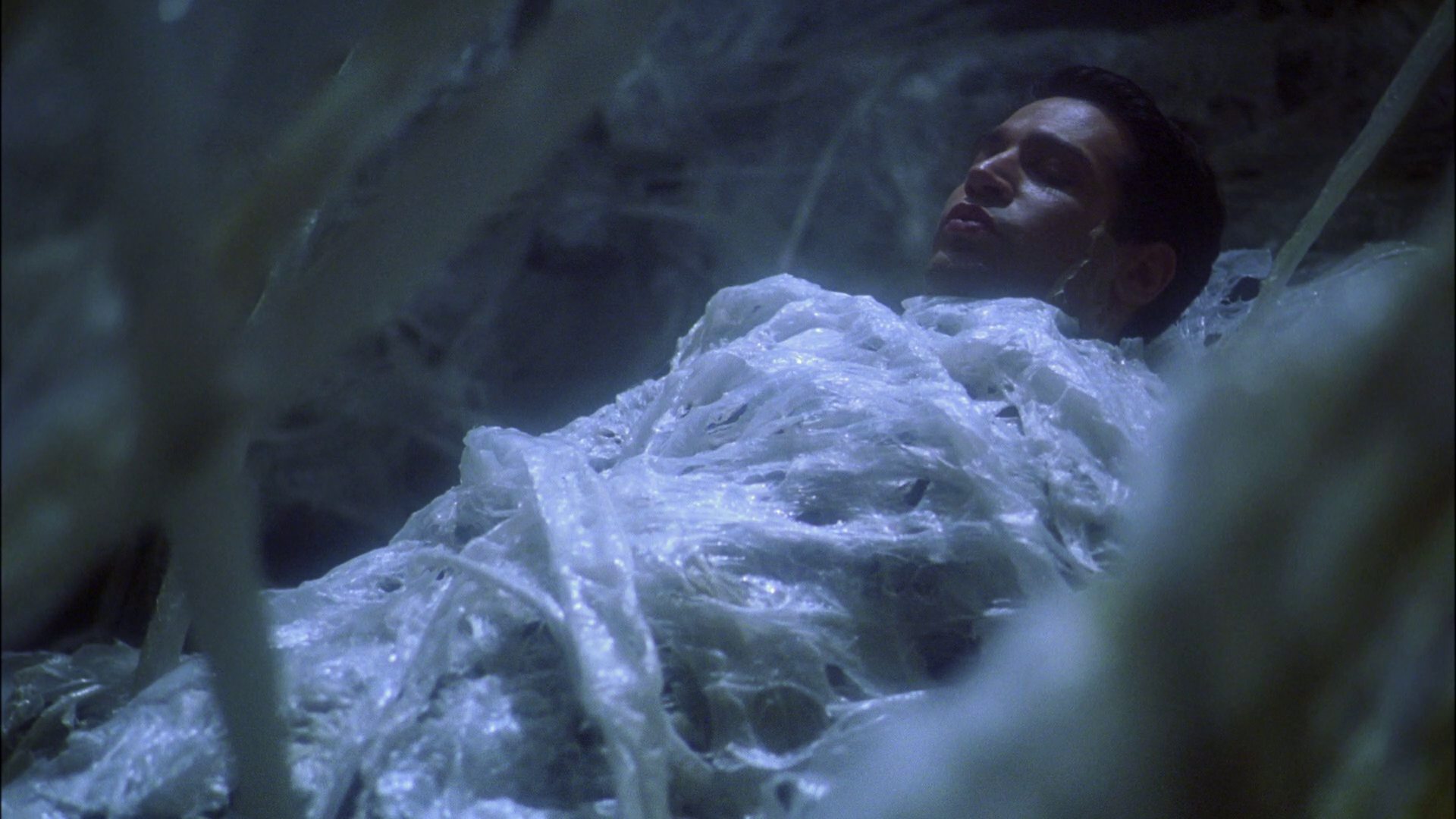 extant_StarTrek_ENT_1x22-VoxSola_1654.jpg