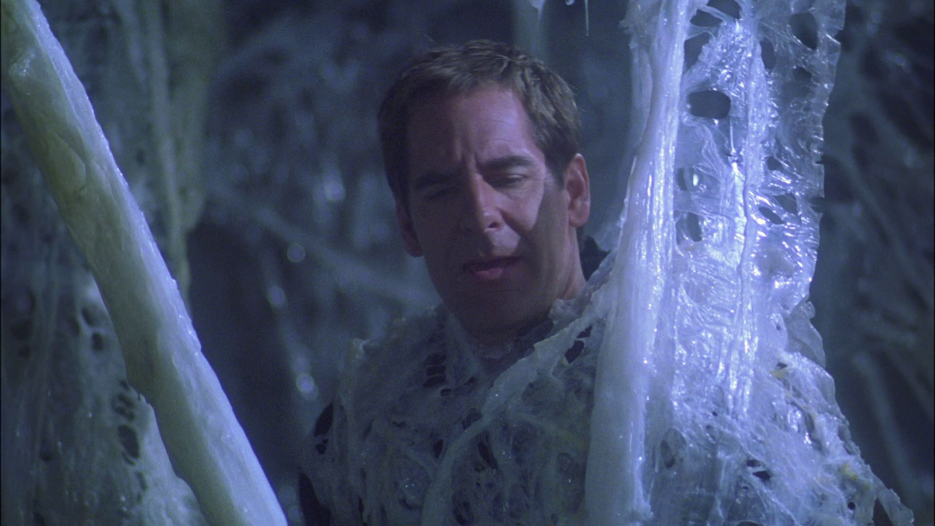 extant_StarTrek_ENT_1x22-VoxSola_1656.jpg