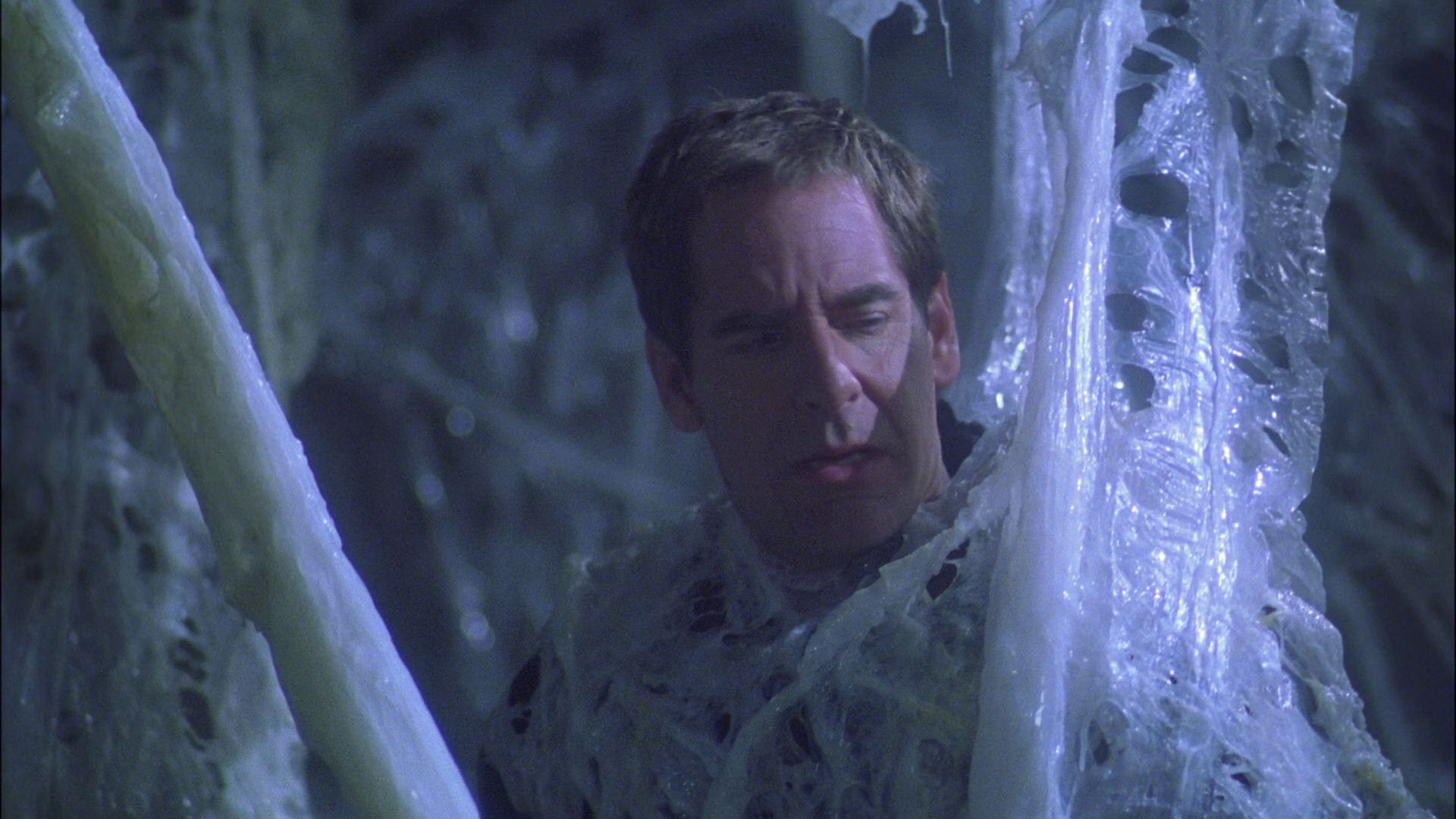 extant_StarTrek_ENT_1x22-VoxSola_1658.jpg