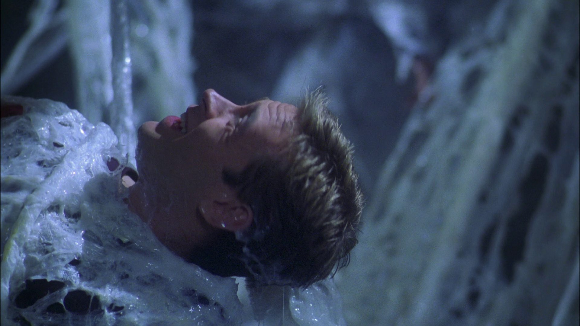 extant_StarTrek_ENT_1x22-VoxSola_1659.jpg