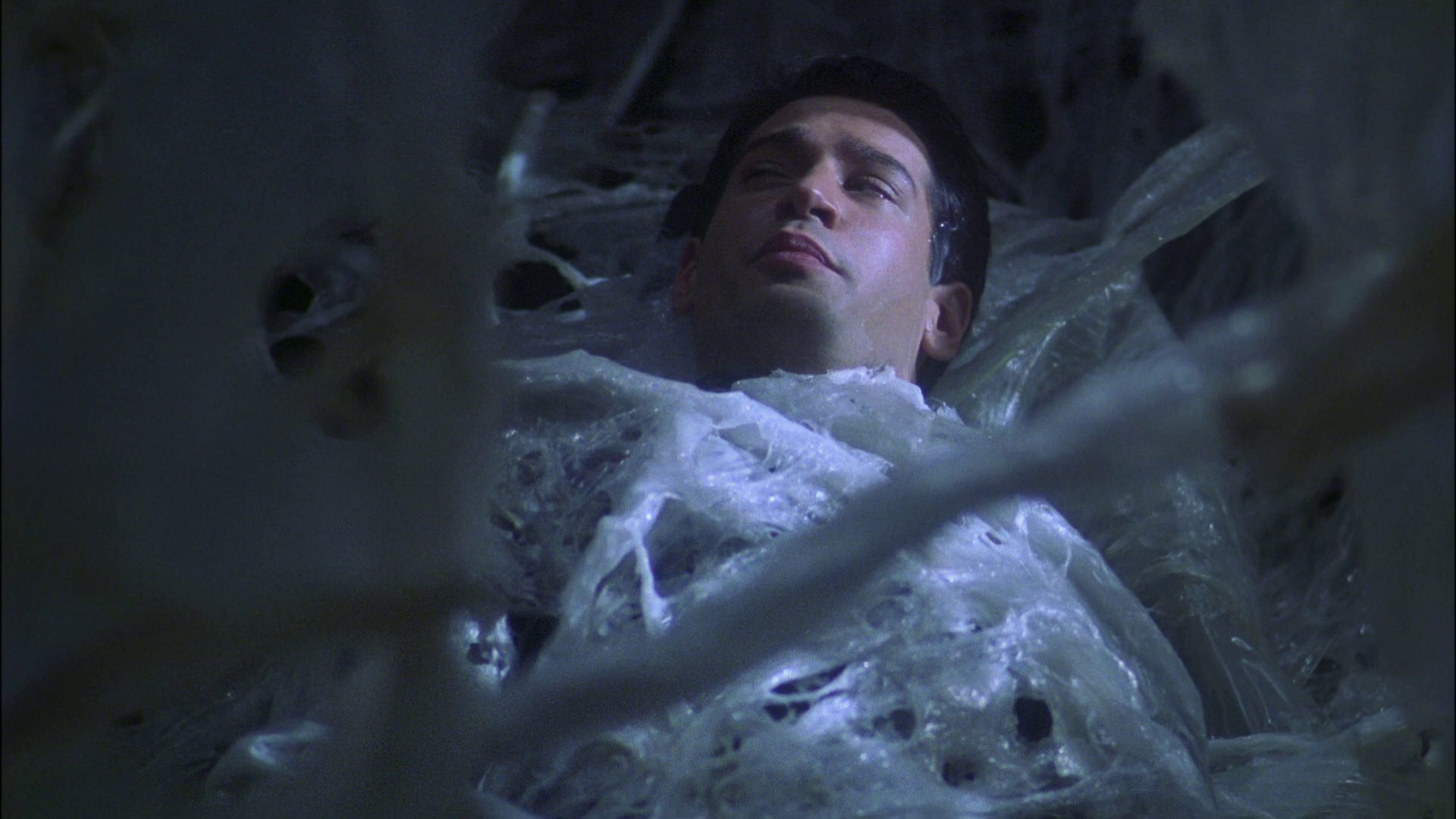 extant_StarTrek_ENT_1x22-VoxSola_1669.jpg