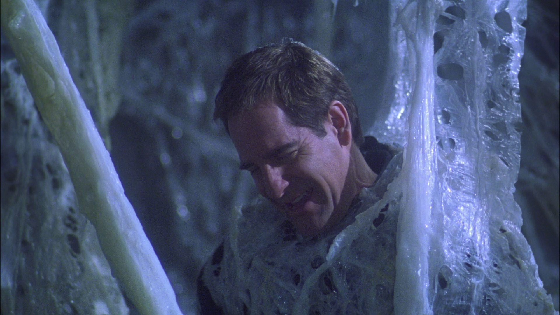 extant_StarTrek_ENT_1x22-VoxSola_1678.jpg