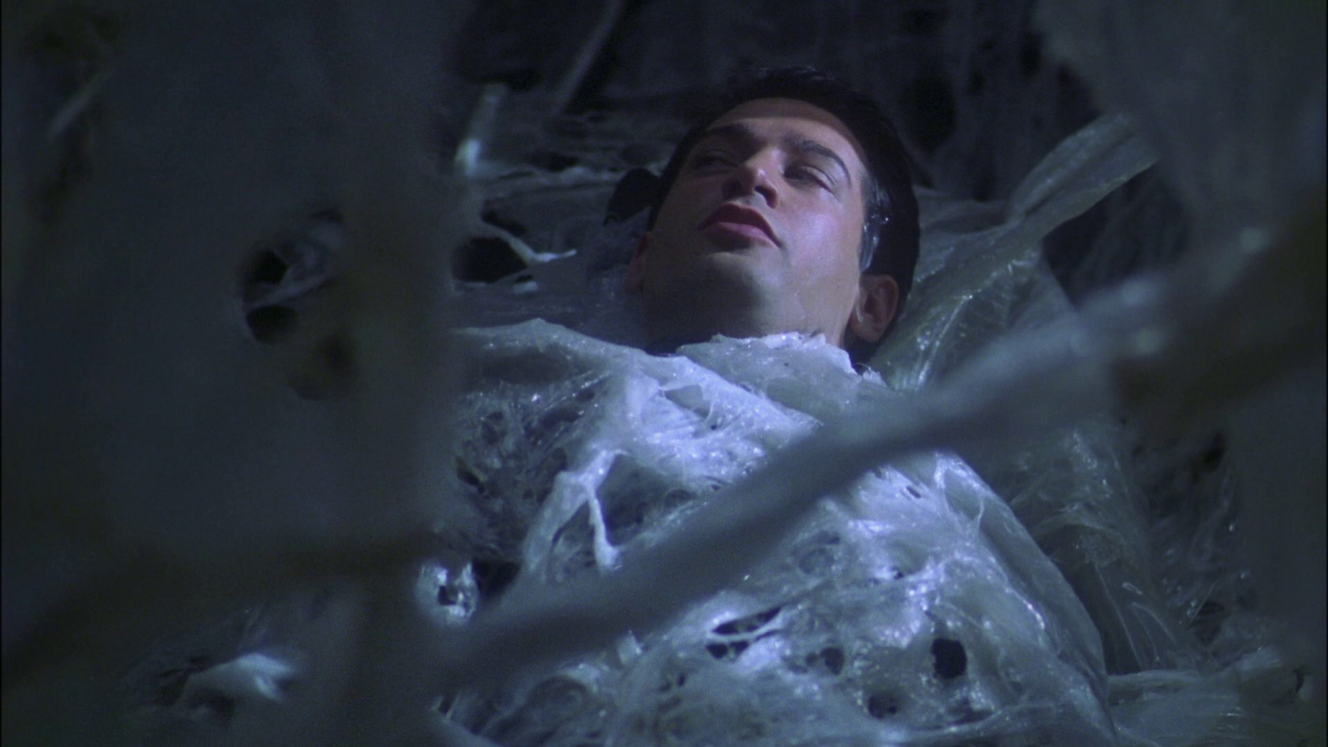 extant_StarTrek_ENT_1x22-VoxSola_1690.jpg