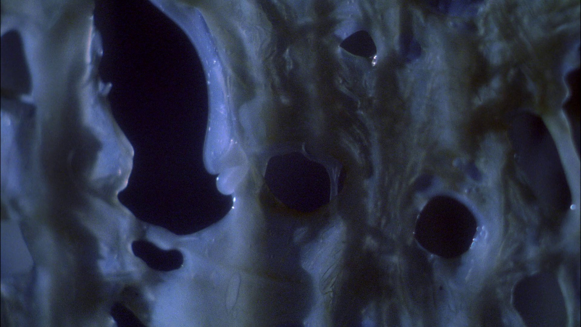 extant_StarTrek_ENT_1x22-VoxSola_1702.jpg