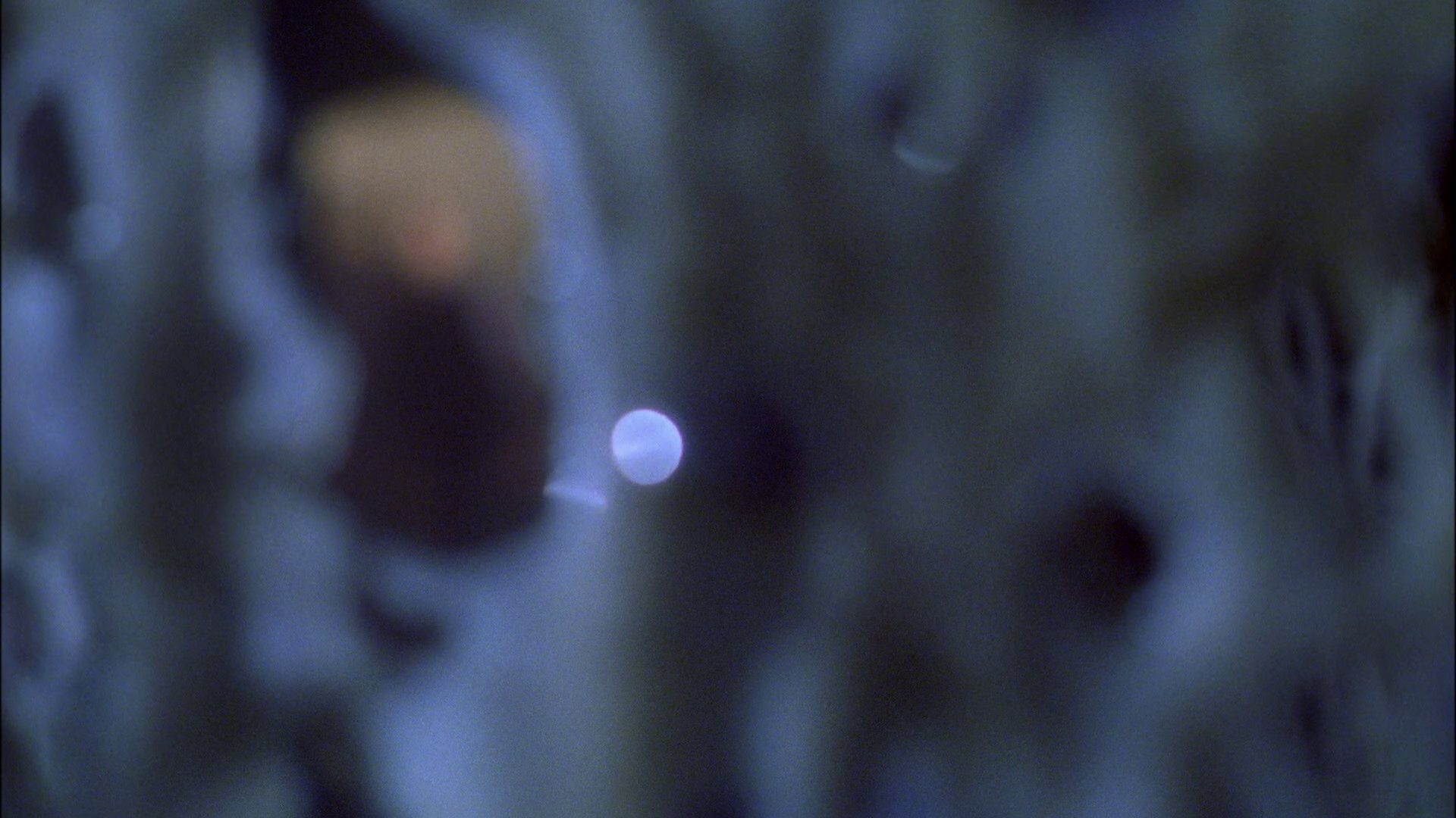 extant_StarTrek_ENT_1x22-VoxSola_1704.jpg