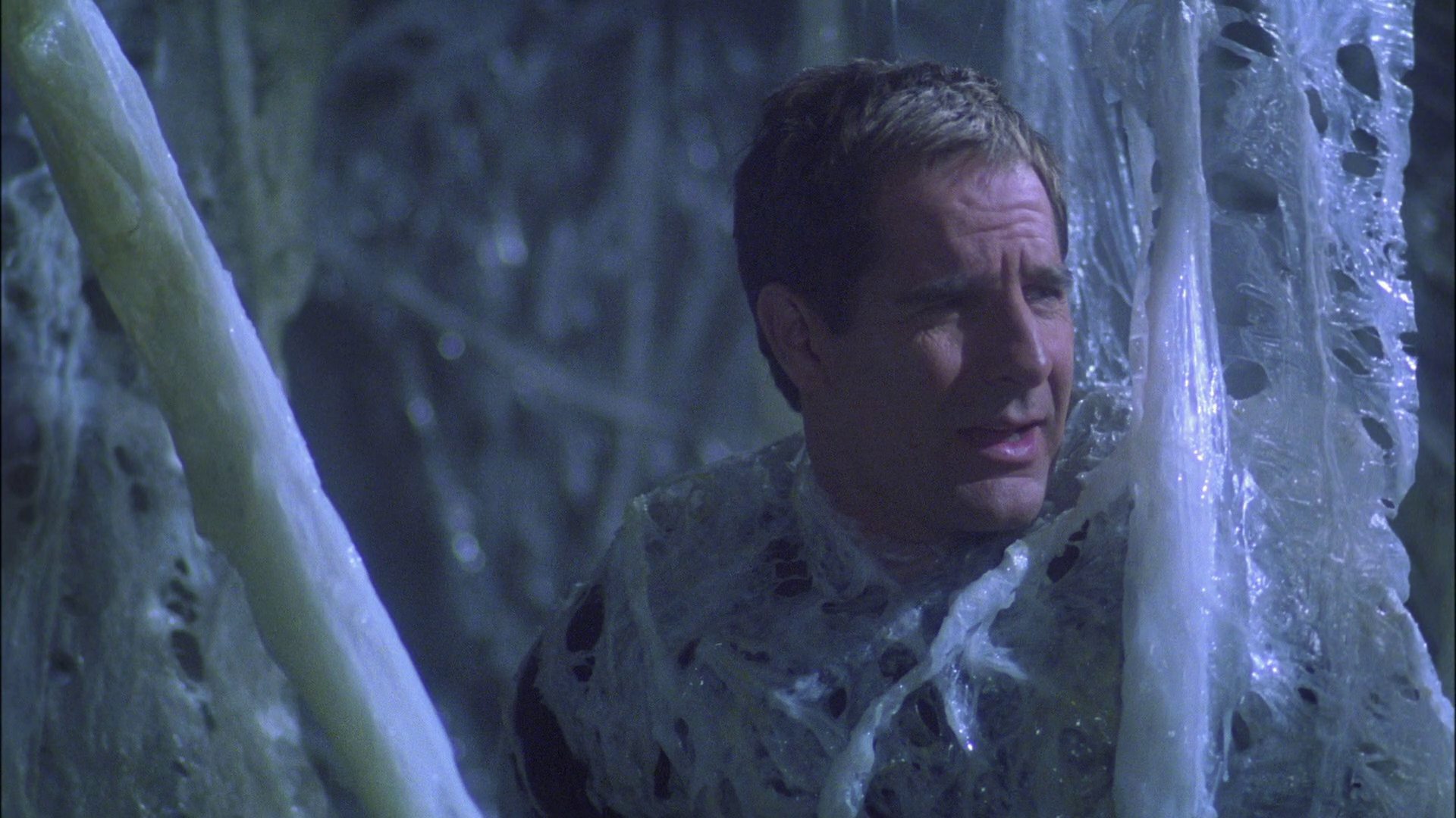 extant_StarTrek_ENT_1x22-VoxSola_1716.jpg