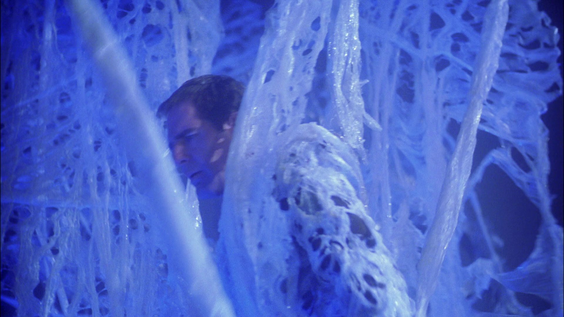 extant_StarTrek_ENT_1x22-VoxSola_1738.jpg