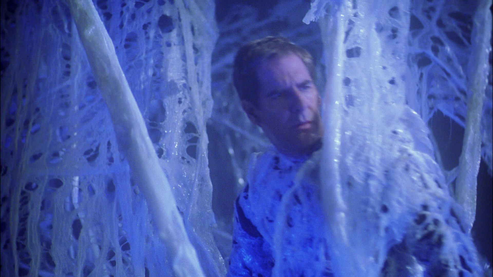 extant_StarTrek_ENT_1x22-VoxSola_1739.jpg