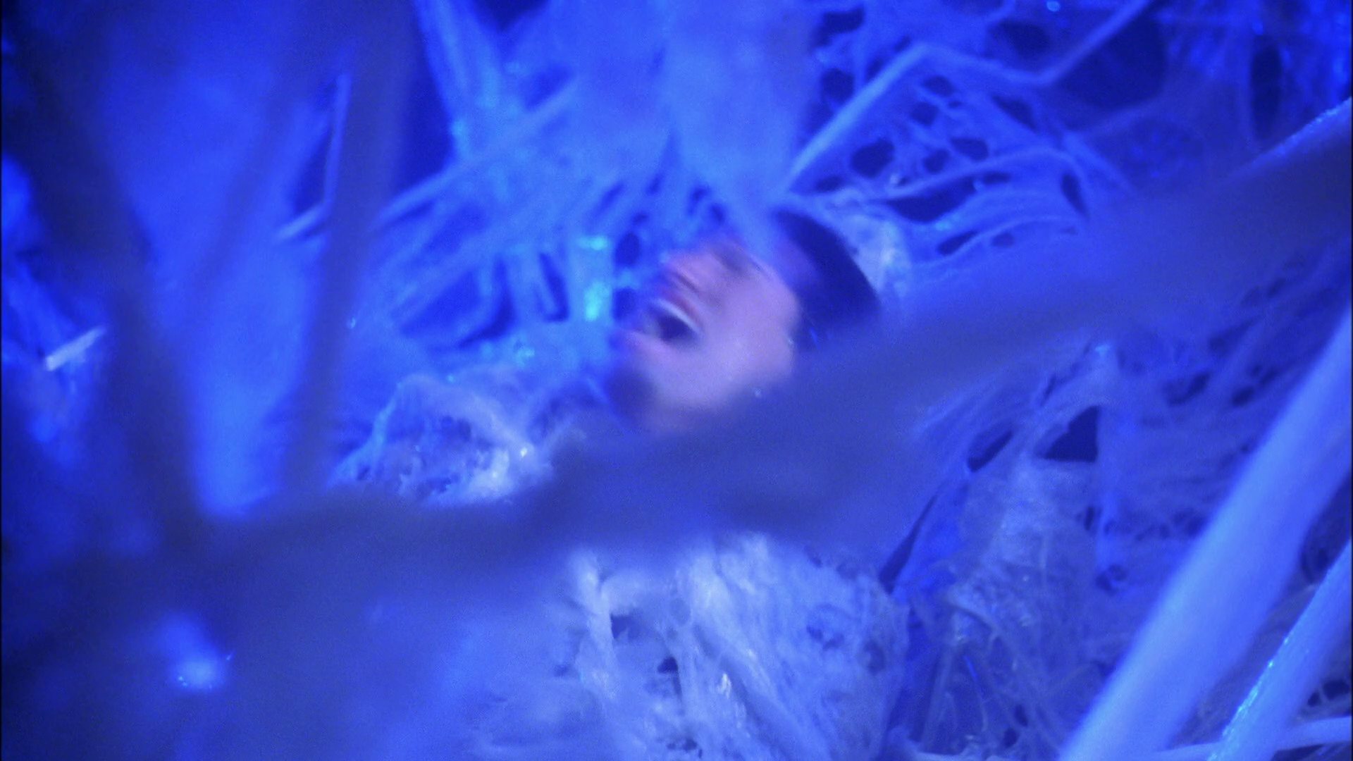 extant_StarTrek_ENT_1x22-VoxSola_1755.jpg