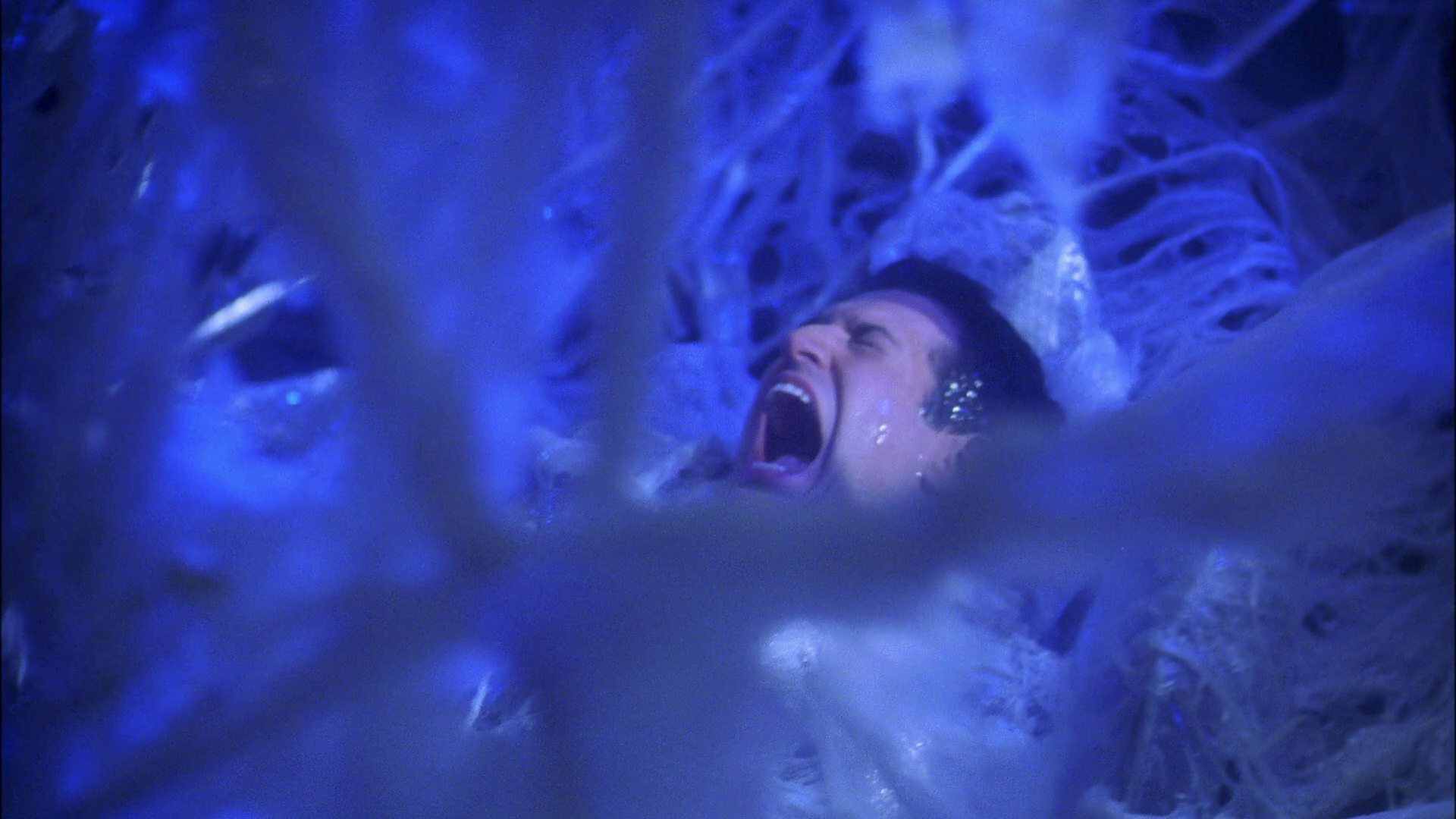 extant_StarTrek_ENT_1x22-VoxSola_1756.jpg