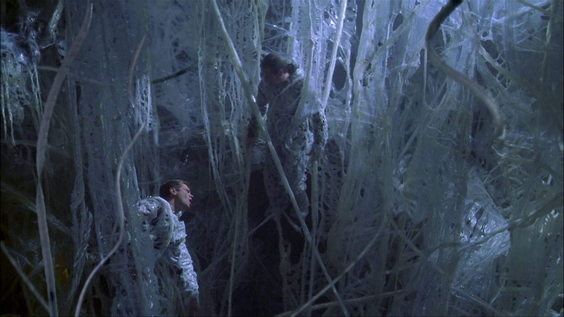 extant_StarTrek_ENT_1x22-VoxSola_1775.jpg