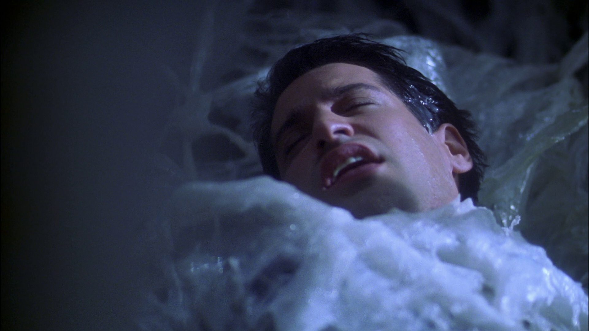 extant_StarTrek_ENT_1x22-VoxSola_1780.jpg