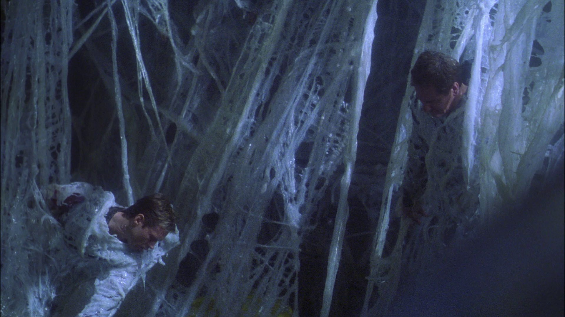 extant_StarTrek_ENT_1x22-VoxSola_1811.jpg