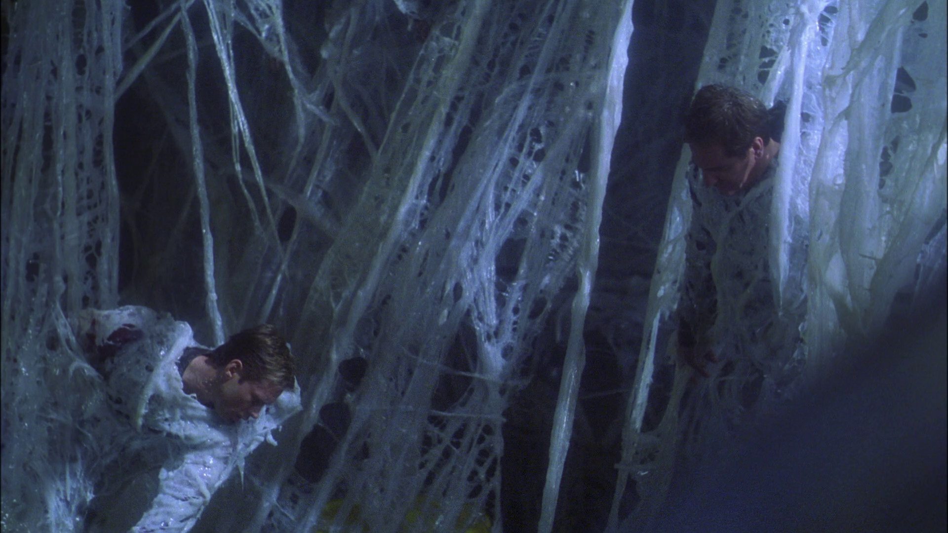 extant_StarTrek_ENT_1x22-VoxSola_1812.jpg