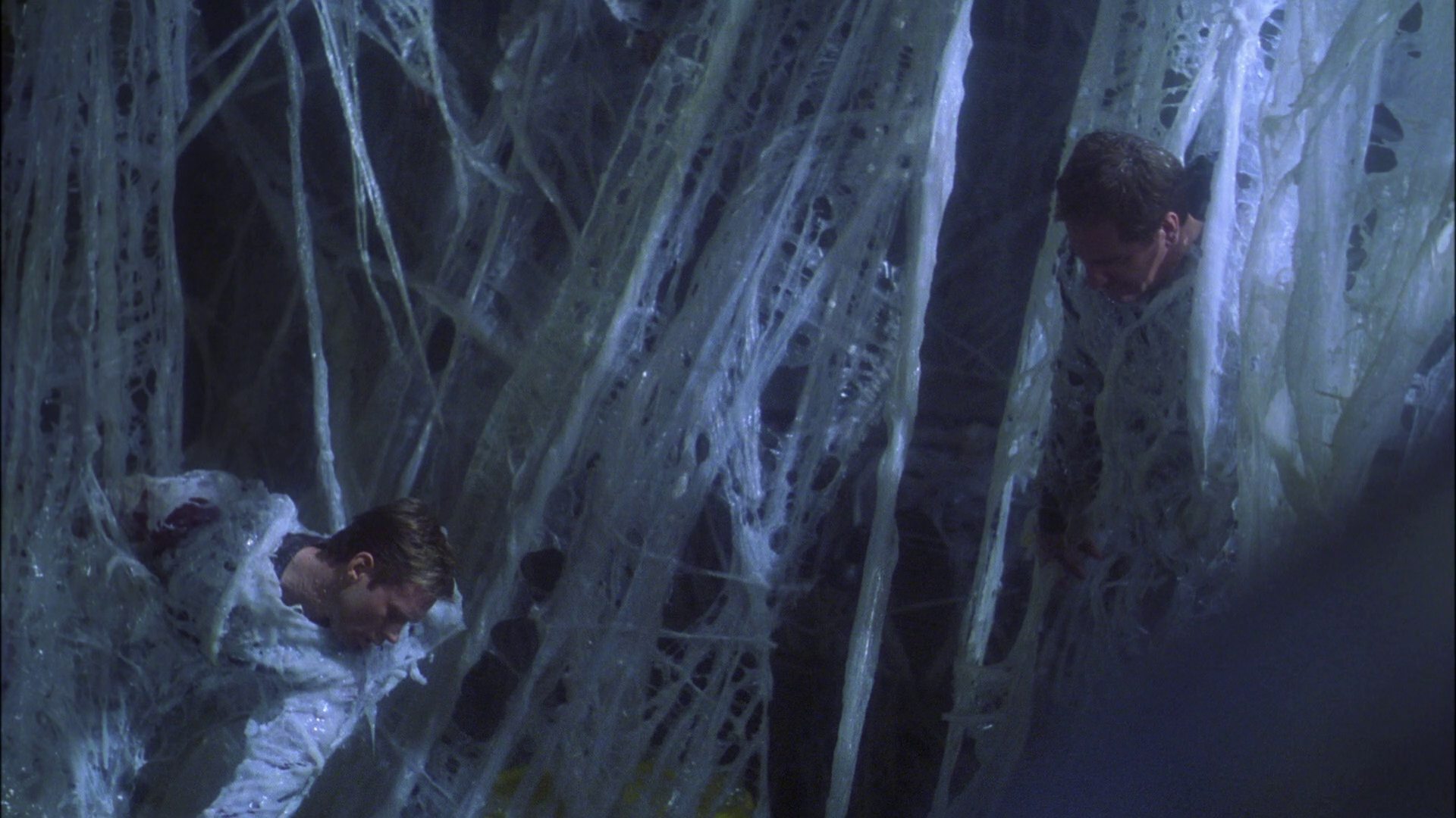 extant_StarTrek_ENT_1x22-VoxSola_1813.jpg