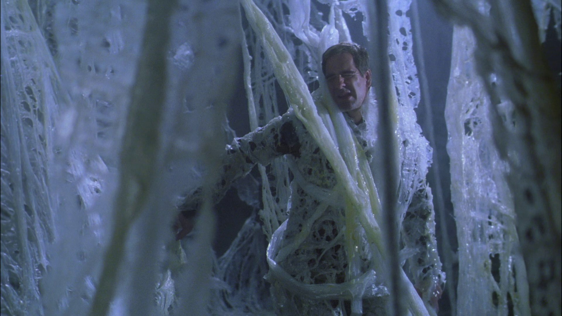 extant_StarTrek_ENT_1x22-VoxSola_2055.jpg