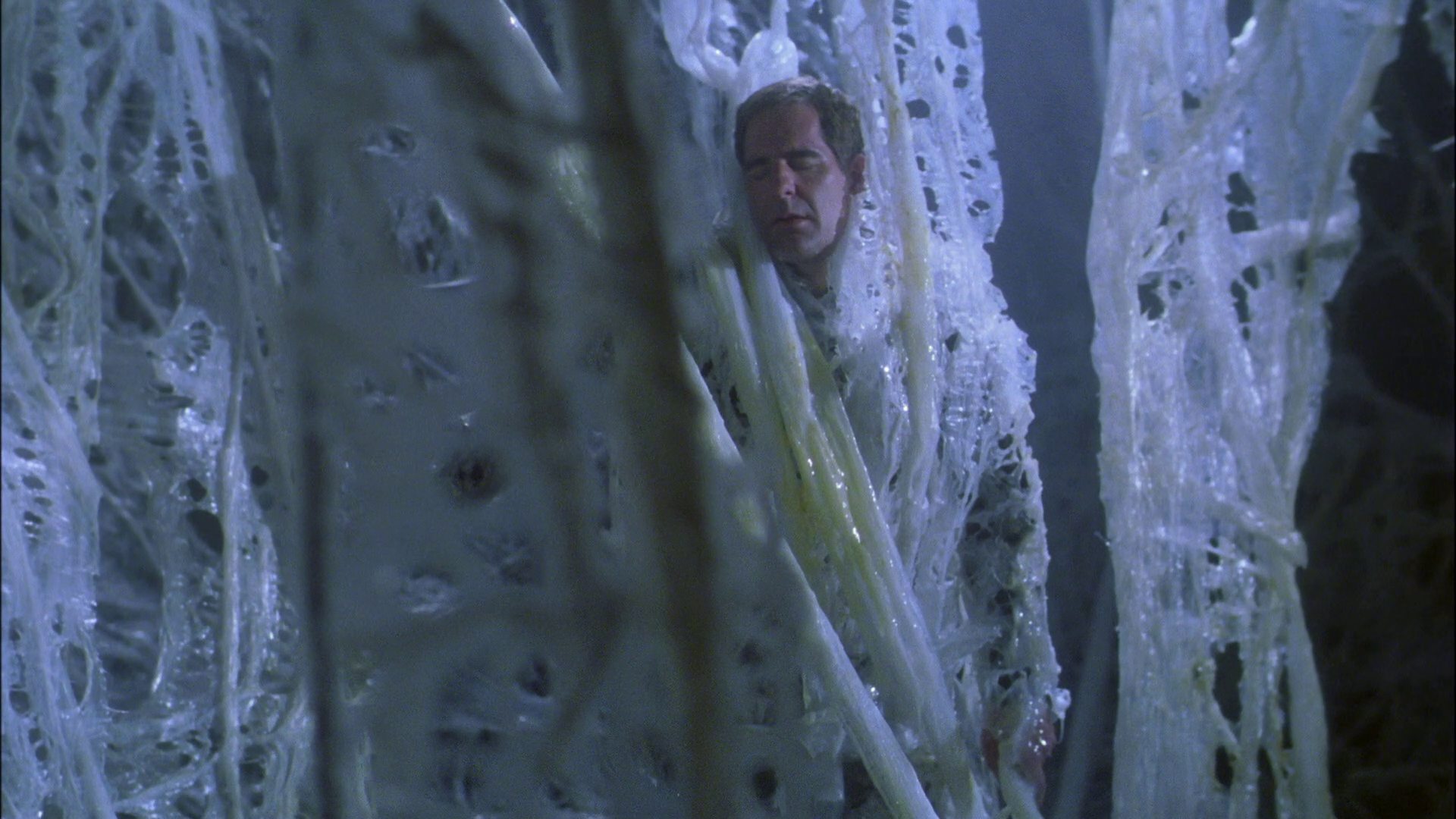 extant_StarTrek_ENT_1x22-VoxSola_2063.jpg
