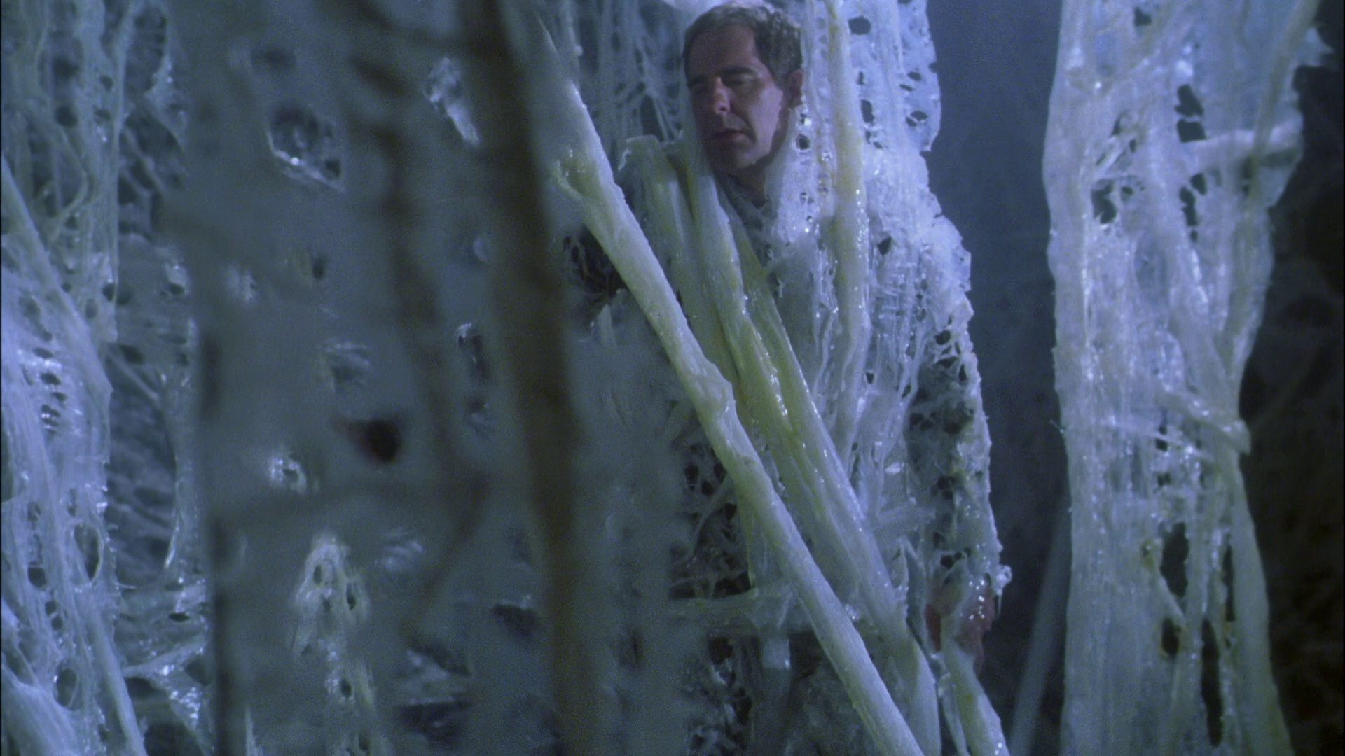 extant_StarTrek_ENT_1x22-VoxSola_2064.jpg