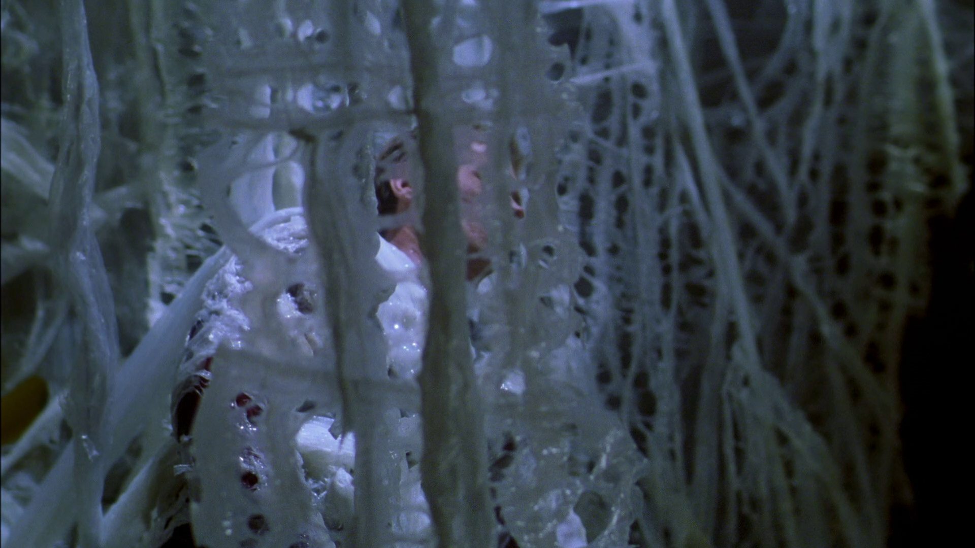 extant_StarTrek_ENT_1x22-VoxSola_2075.jpg