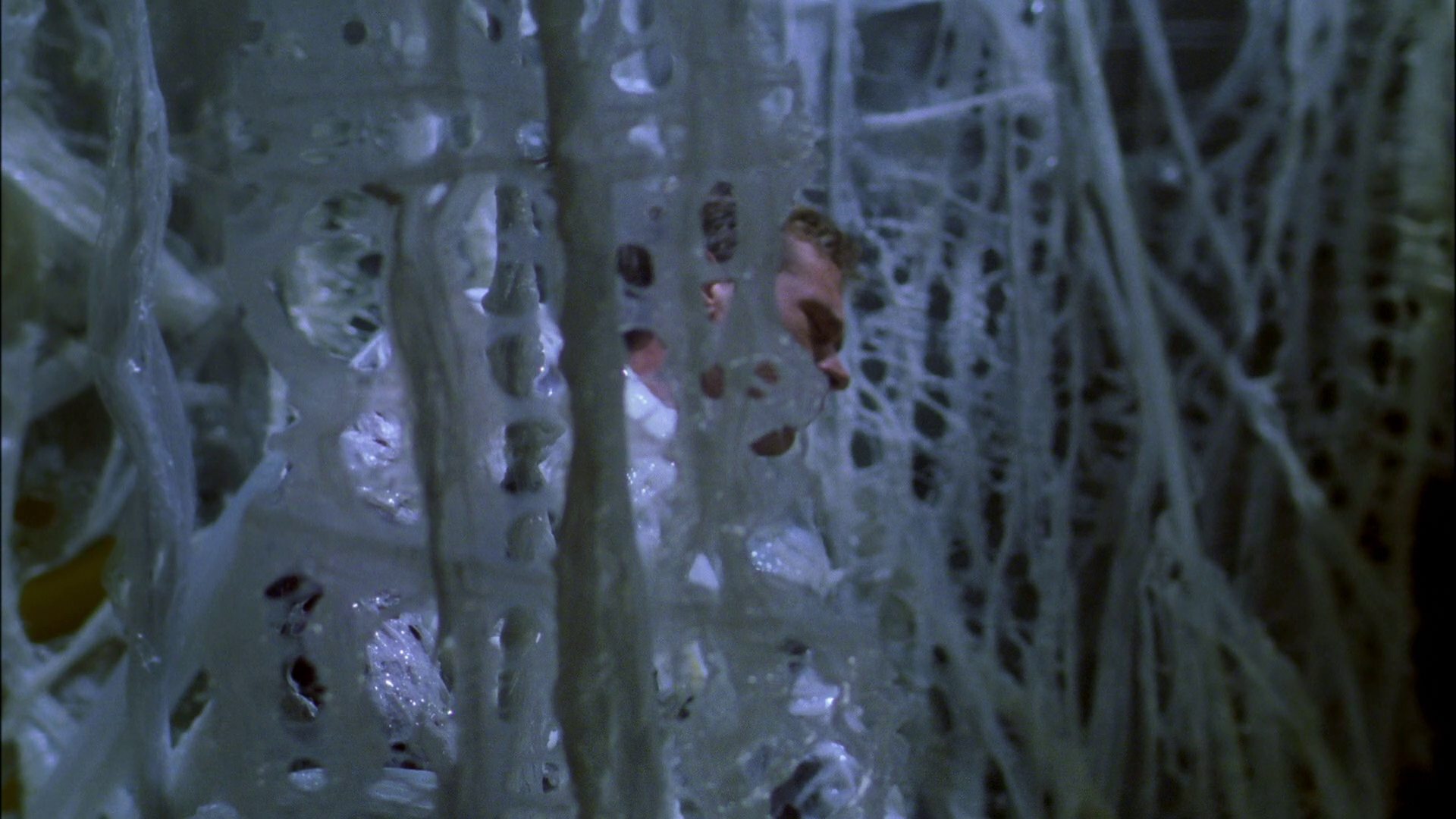extant_StarTrek_ENT_1x22-VoxSola_2078.jpg